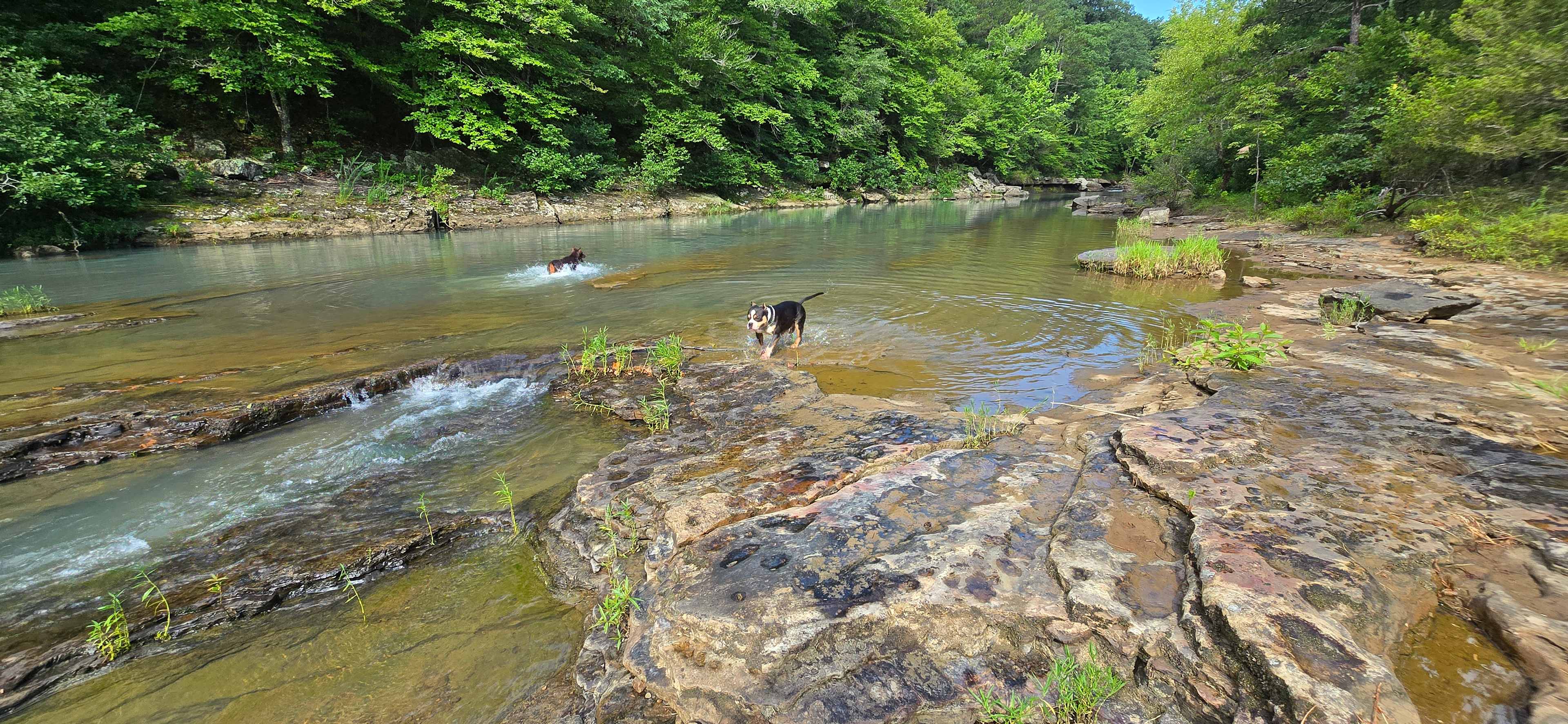 Shady Camp on Little Piney Creek
