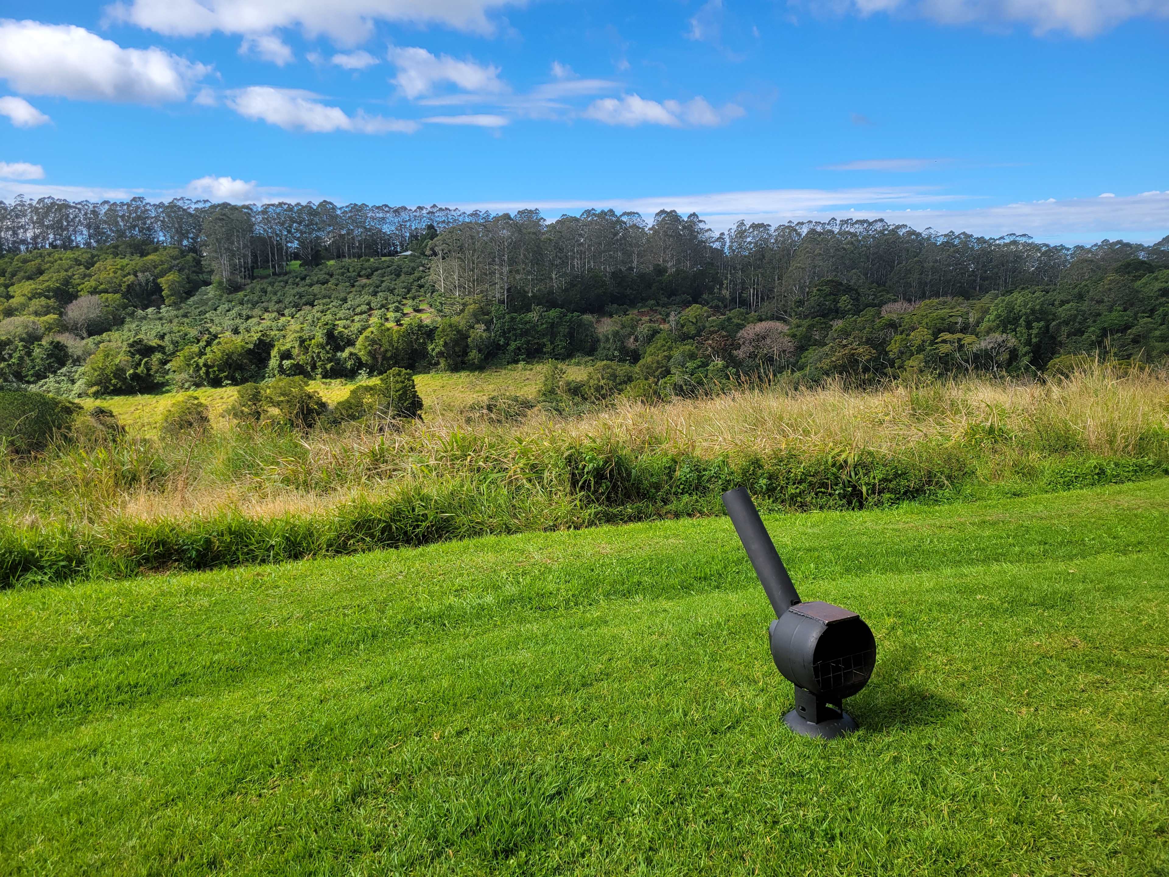 Tremayne - The Old Avocado Farm