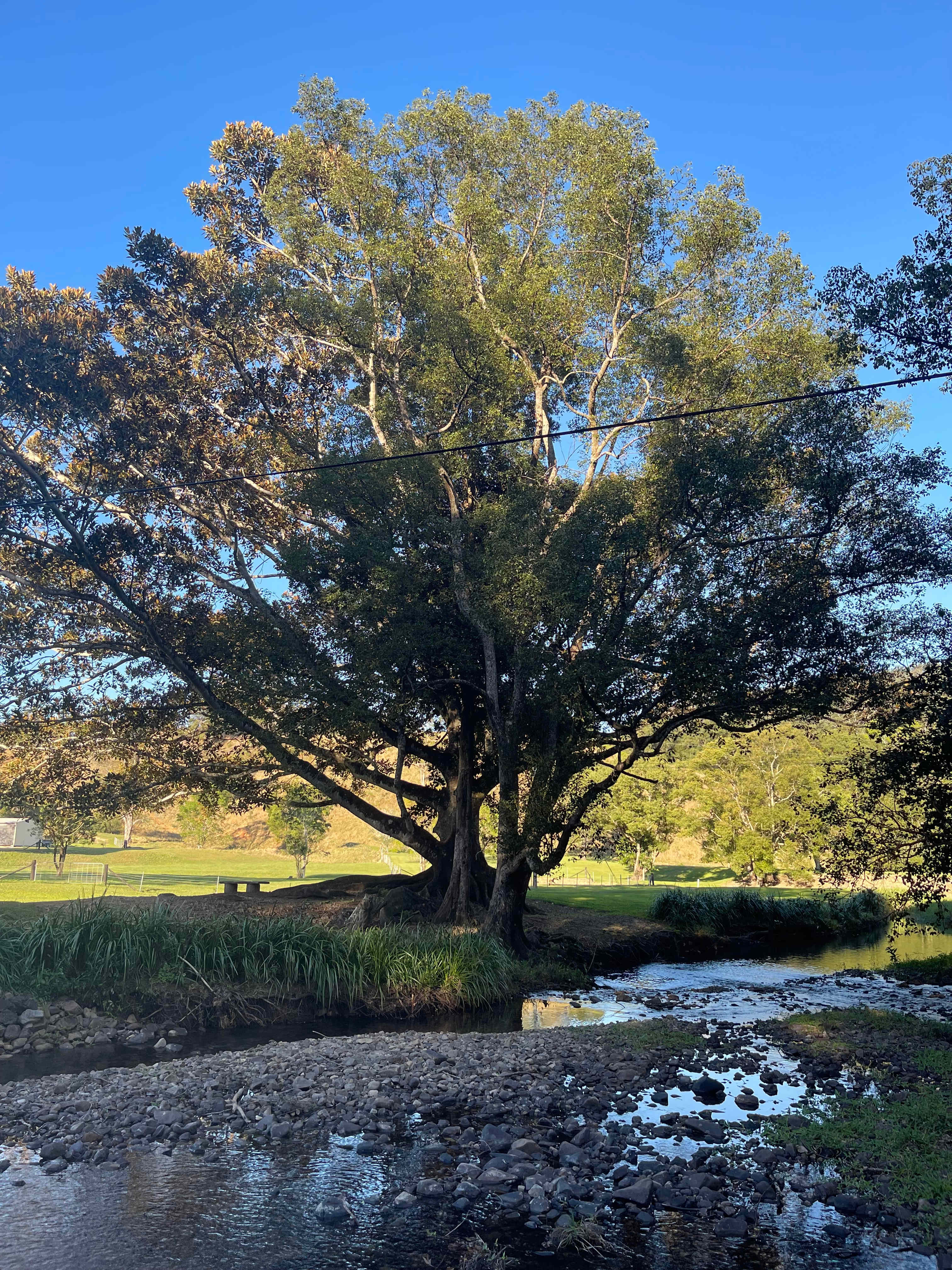 Crystal Creek Park