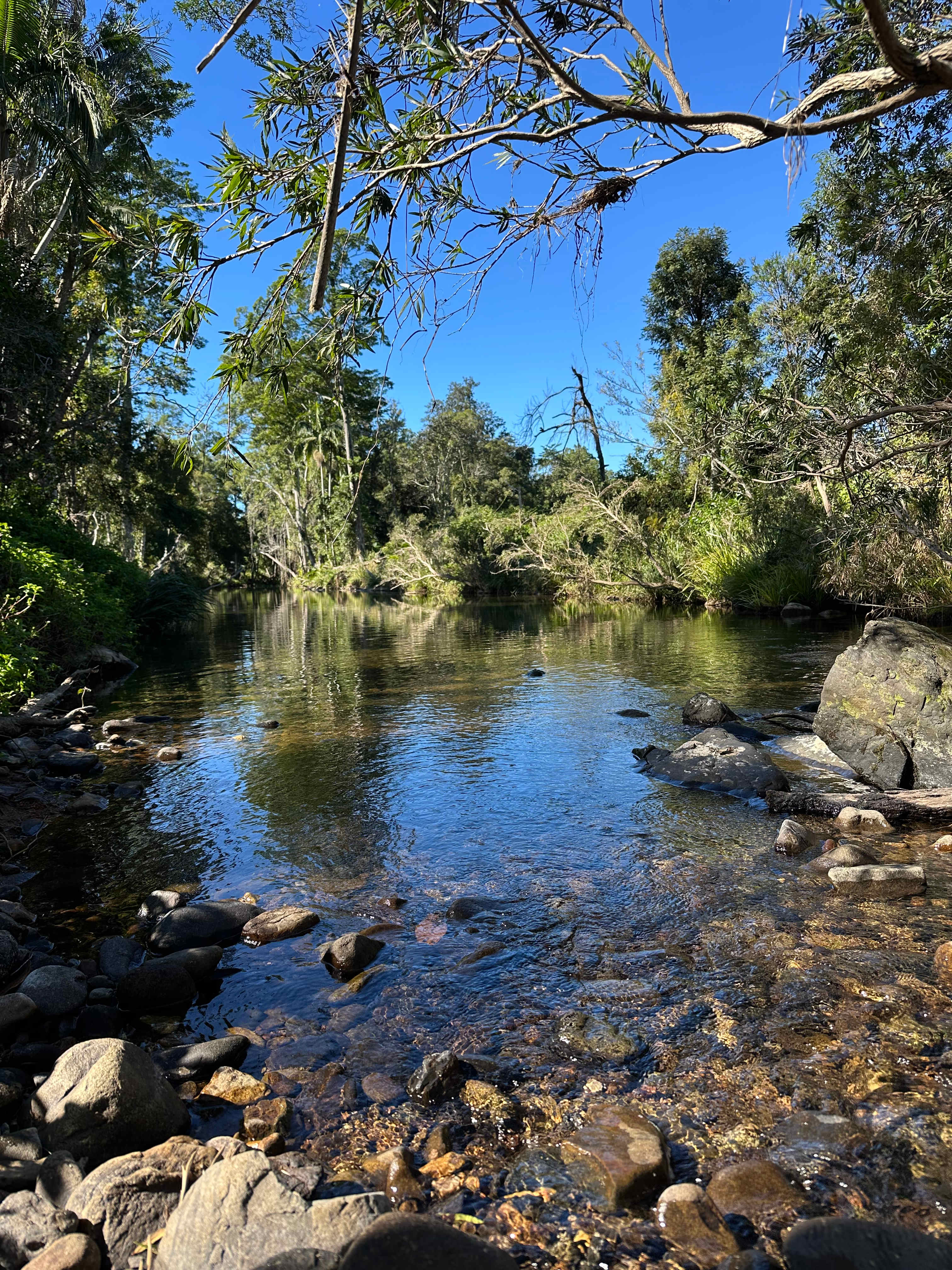 Wongawallan Creek Estate