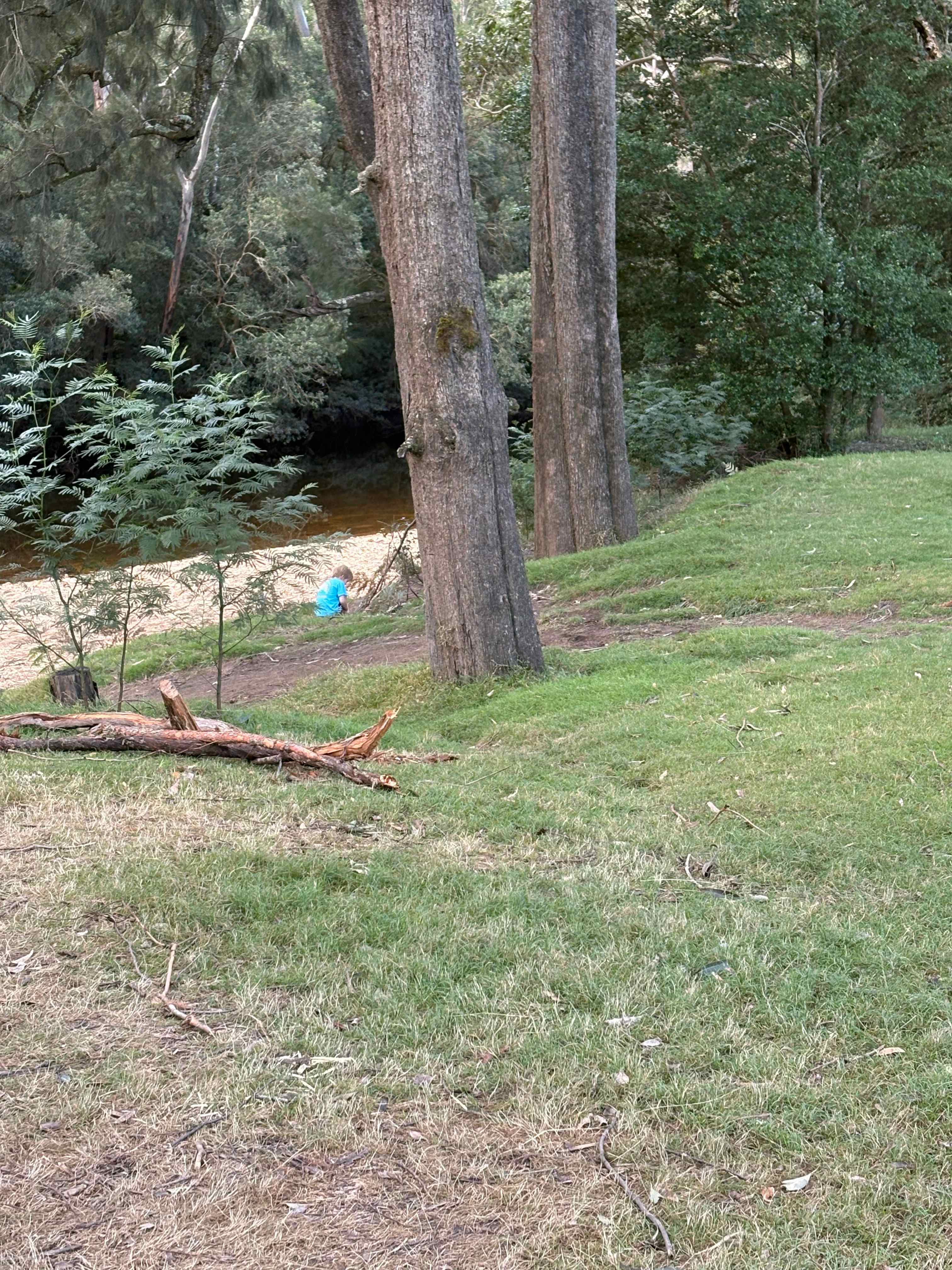 Site 1 by the river
