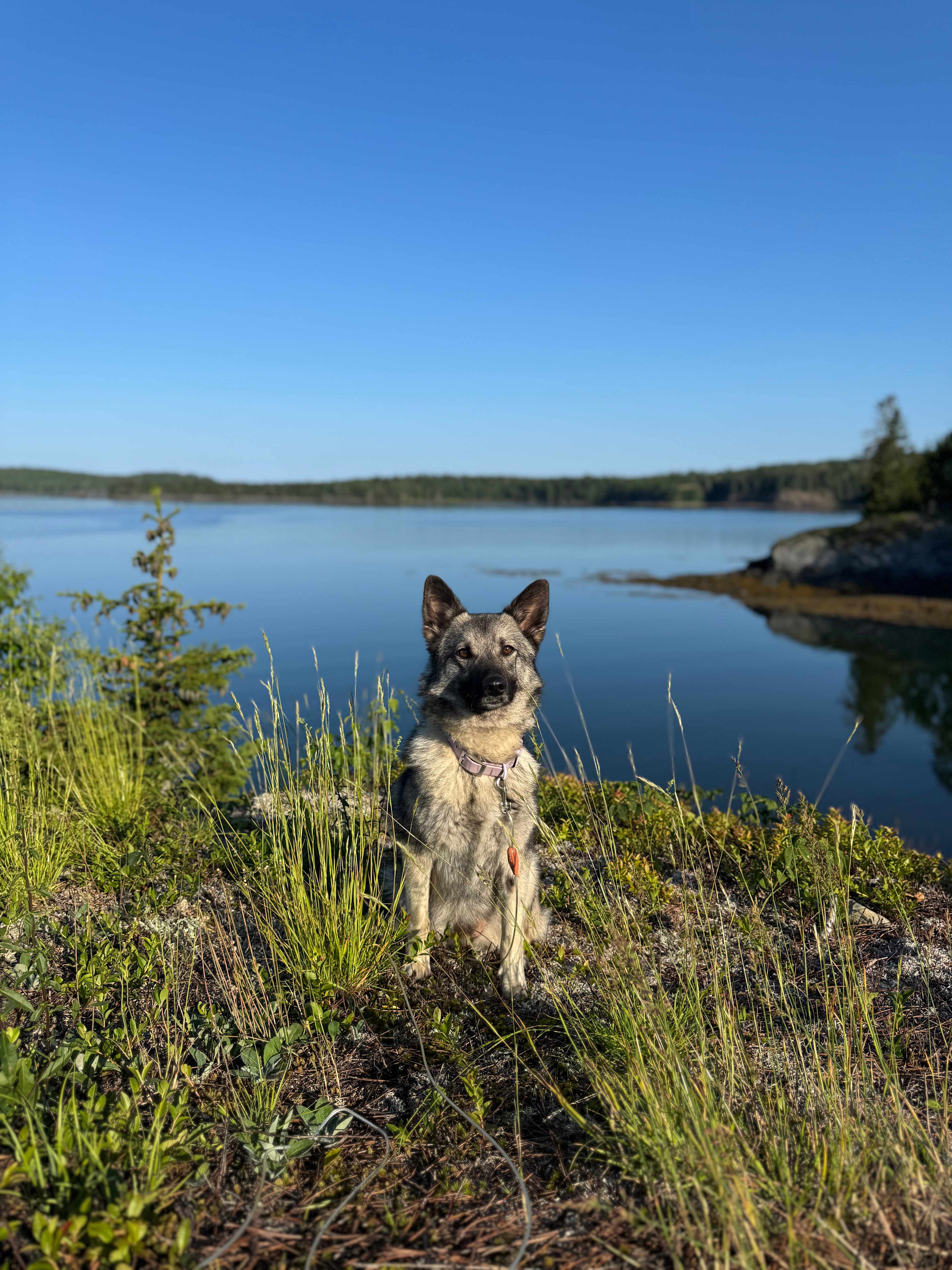 Mouth of the Magaguadavic Camping