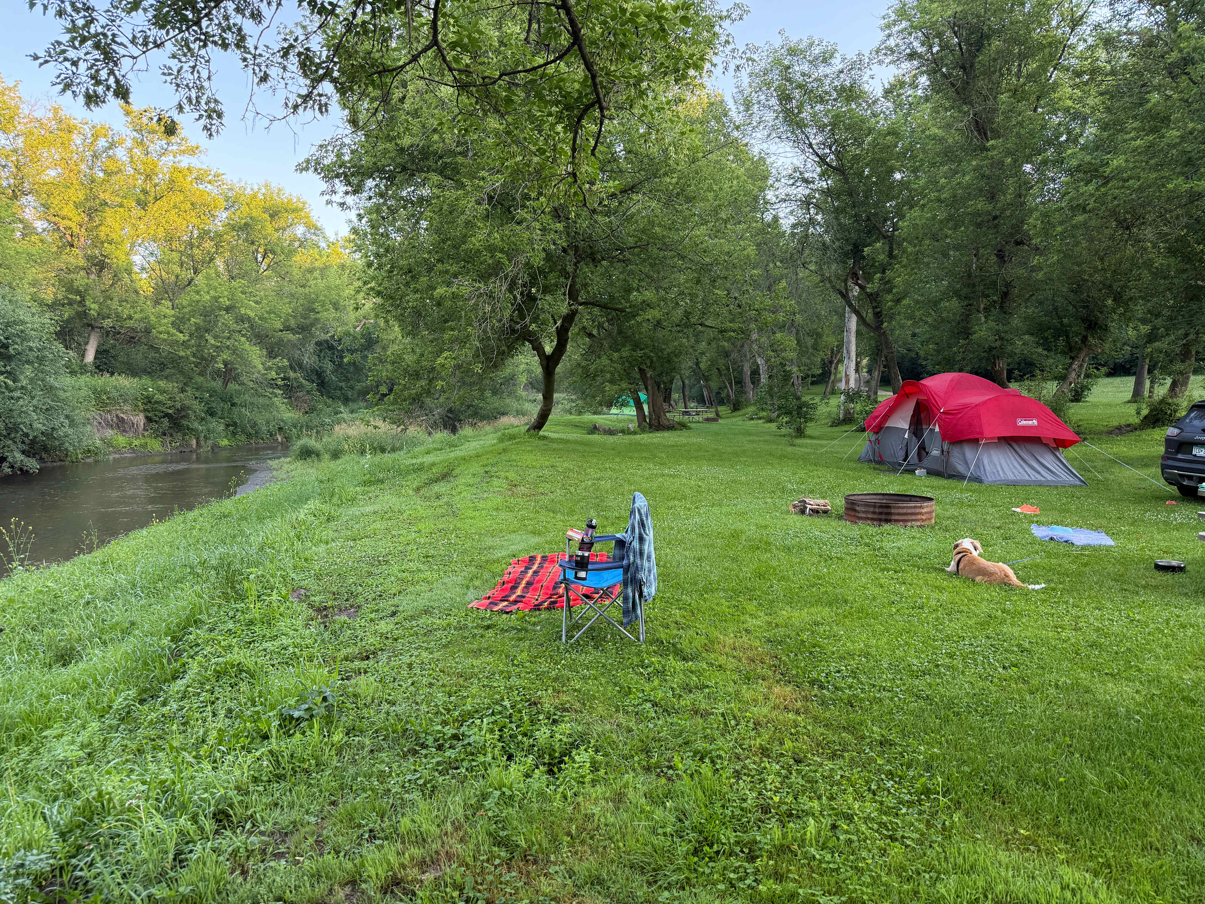 Peaceful river with lots of bird friends