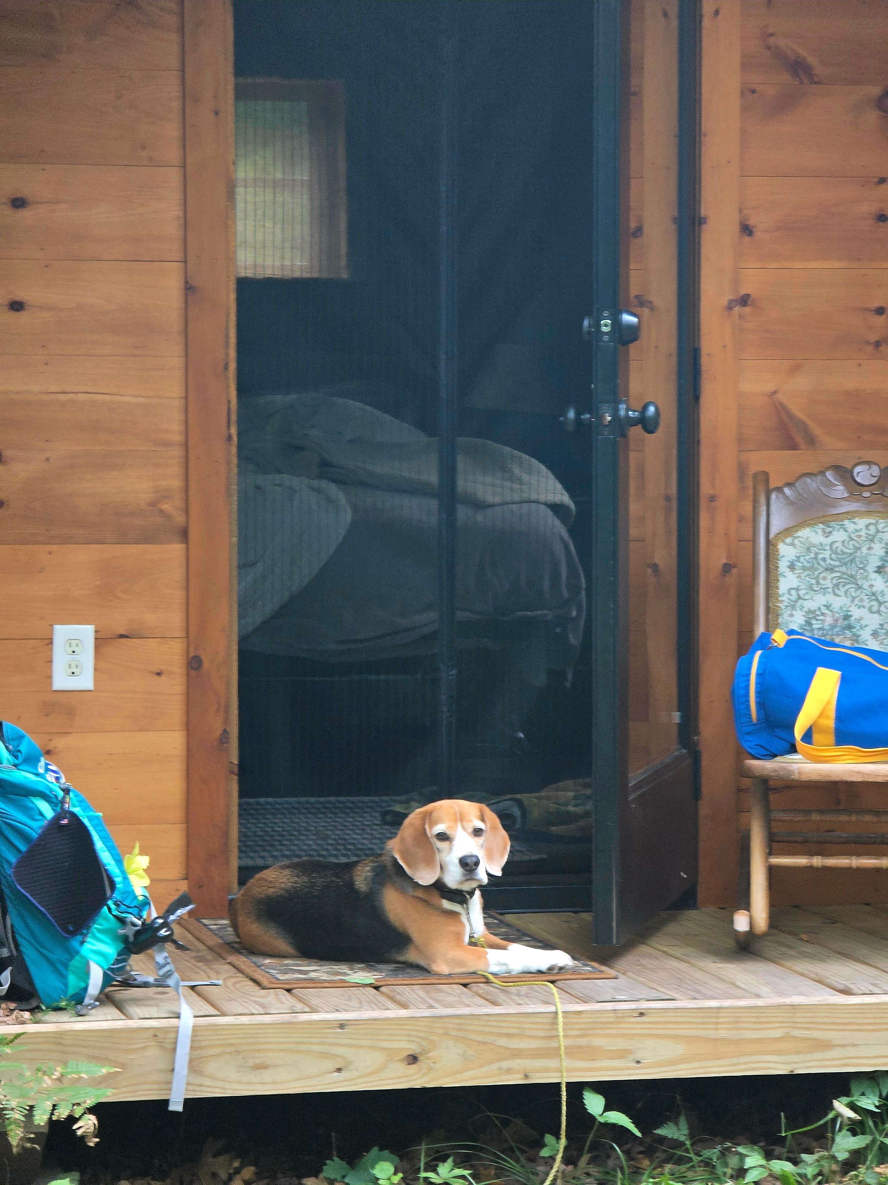 Jerry enjoyed his stay!