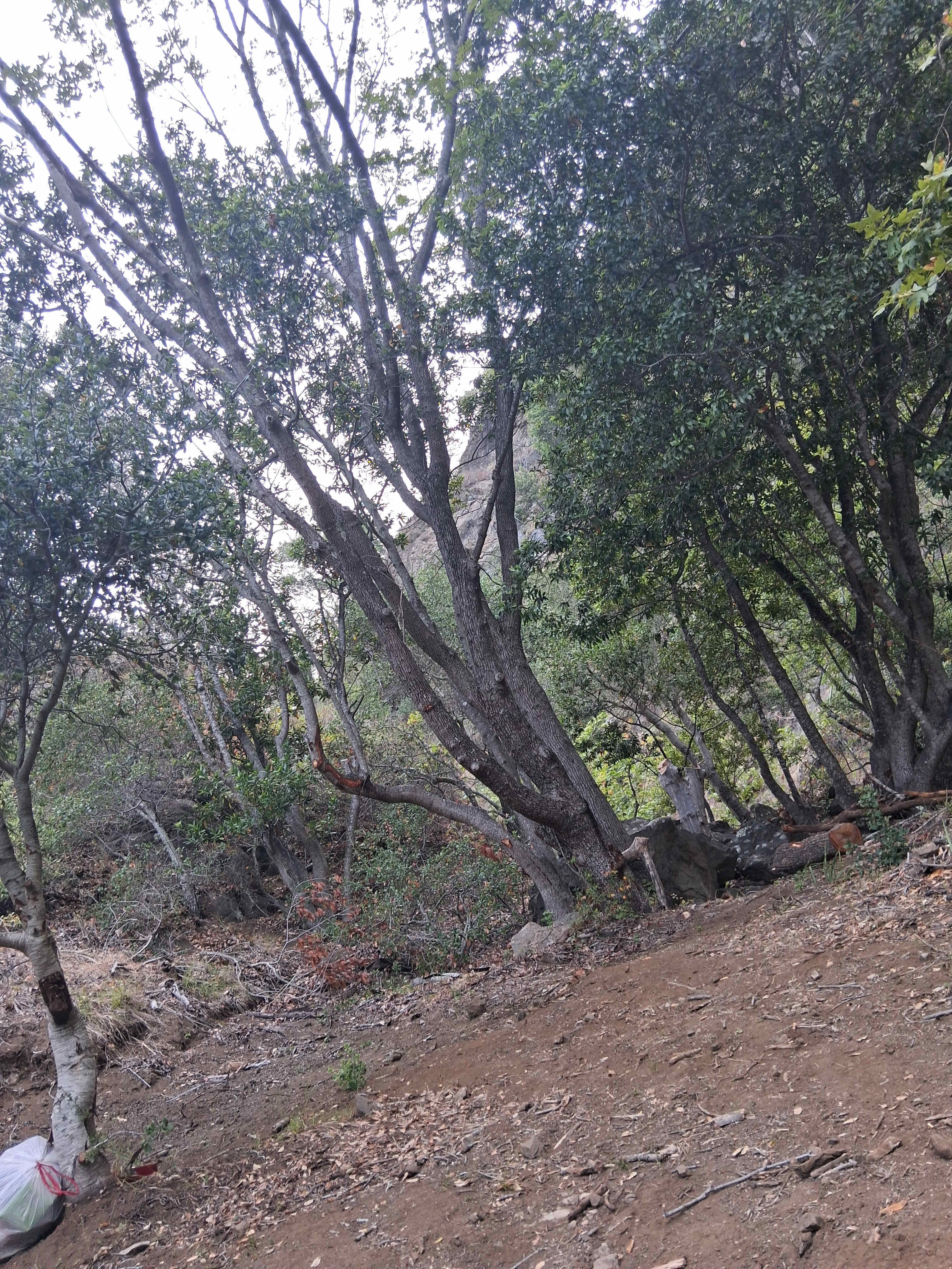 Creekside Camping and Mineral Baths