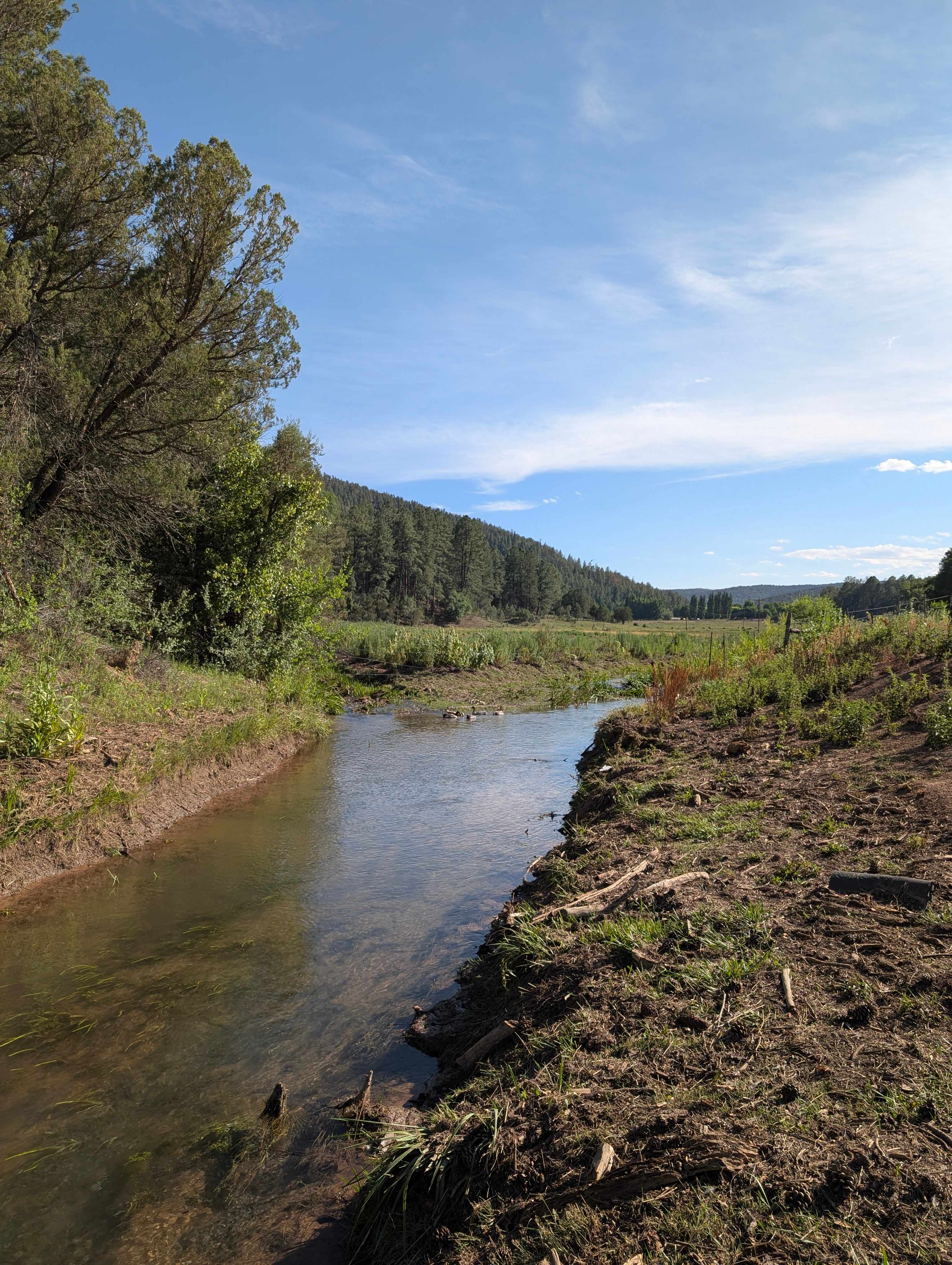 Picture of the site