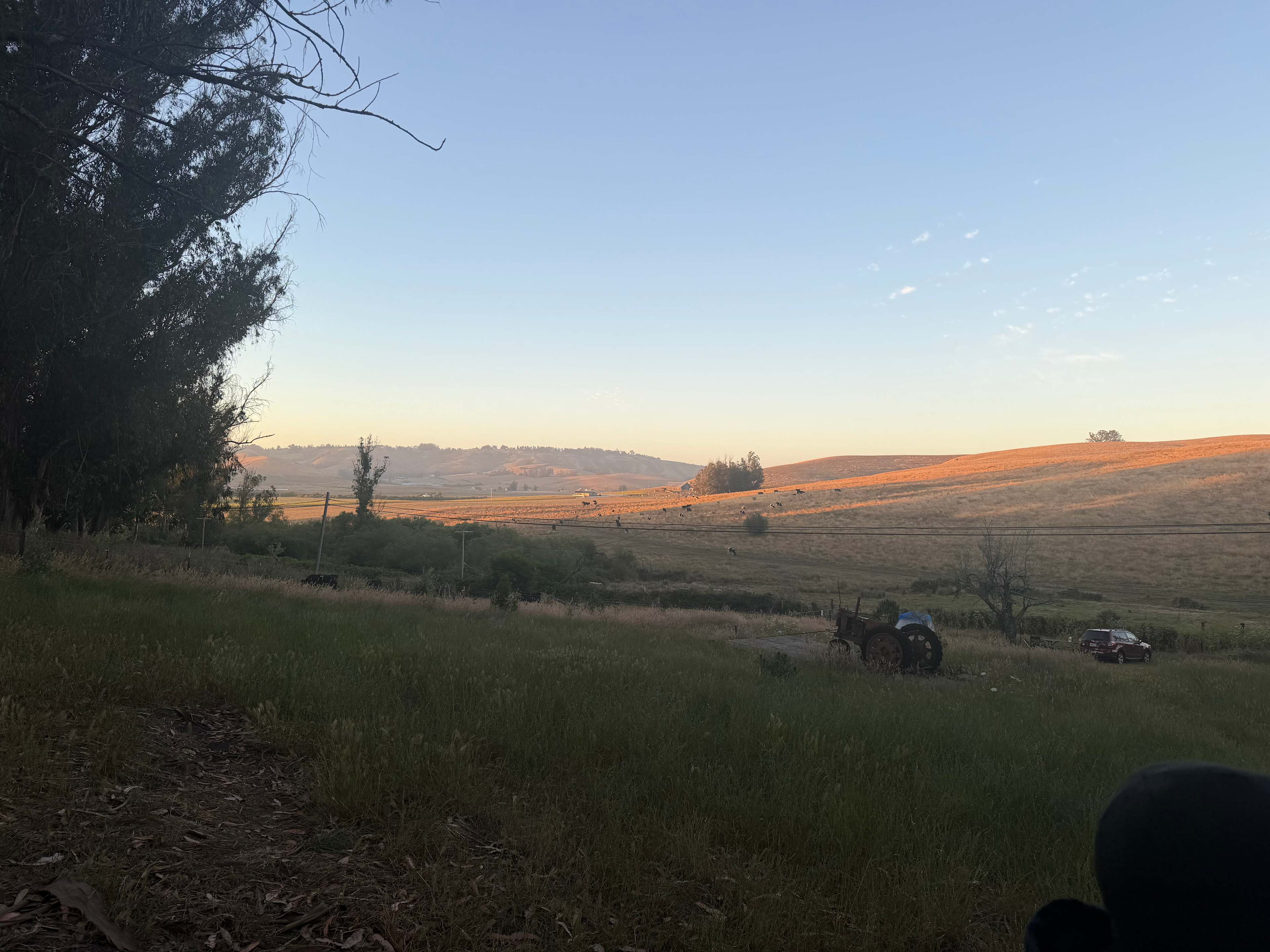 The Meadow Grove of Hands Full Farm