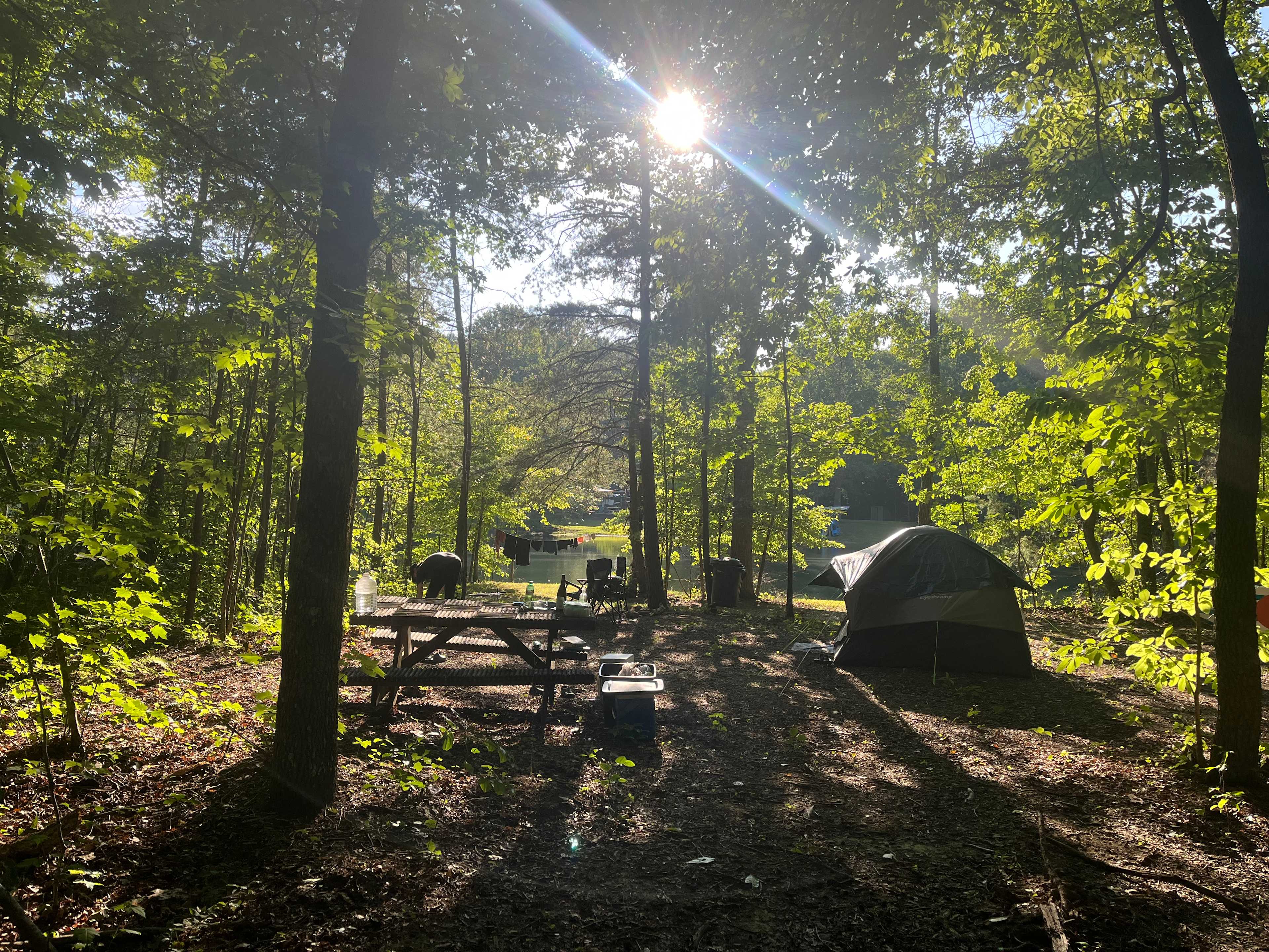 The Ole Place
