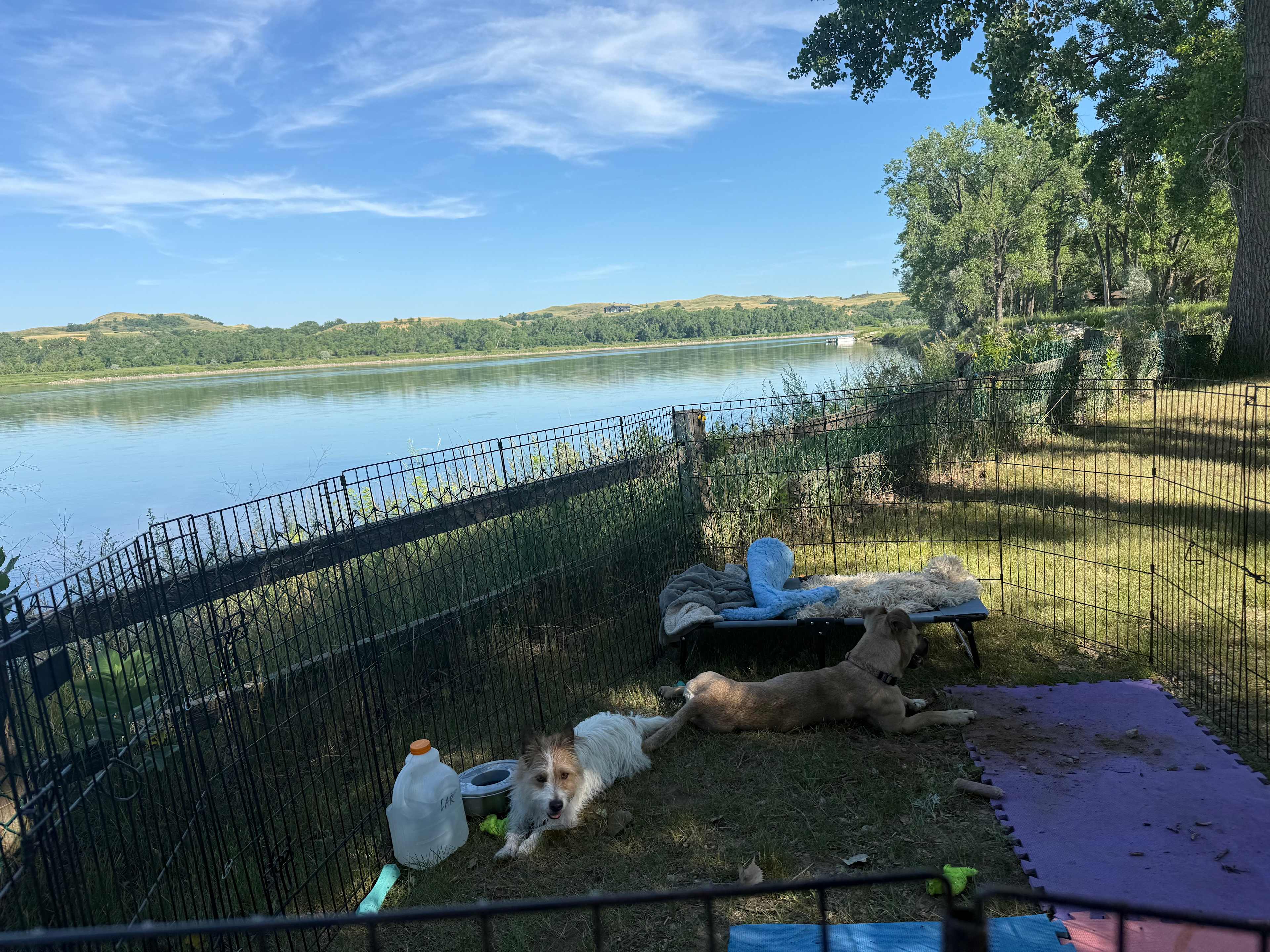 Camping along the river