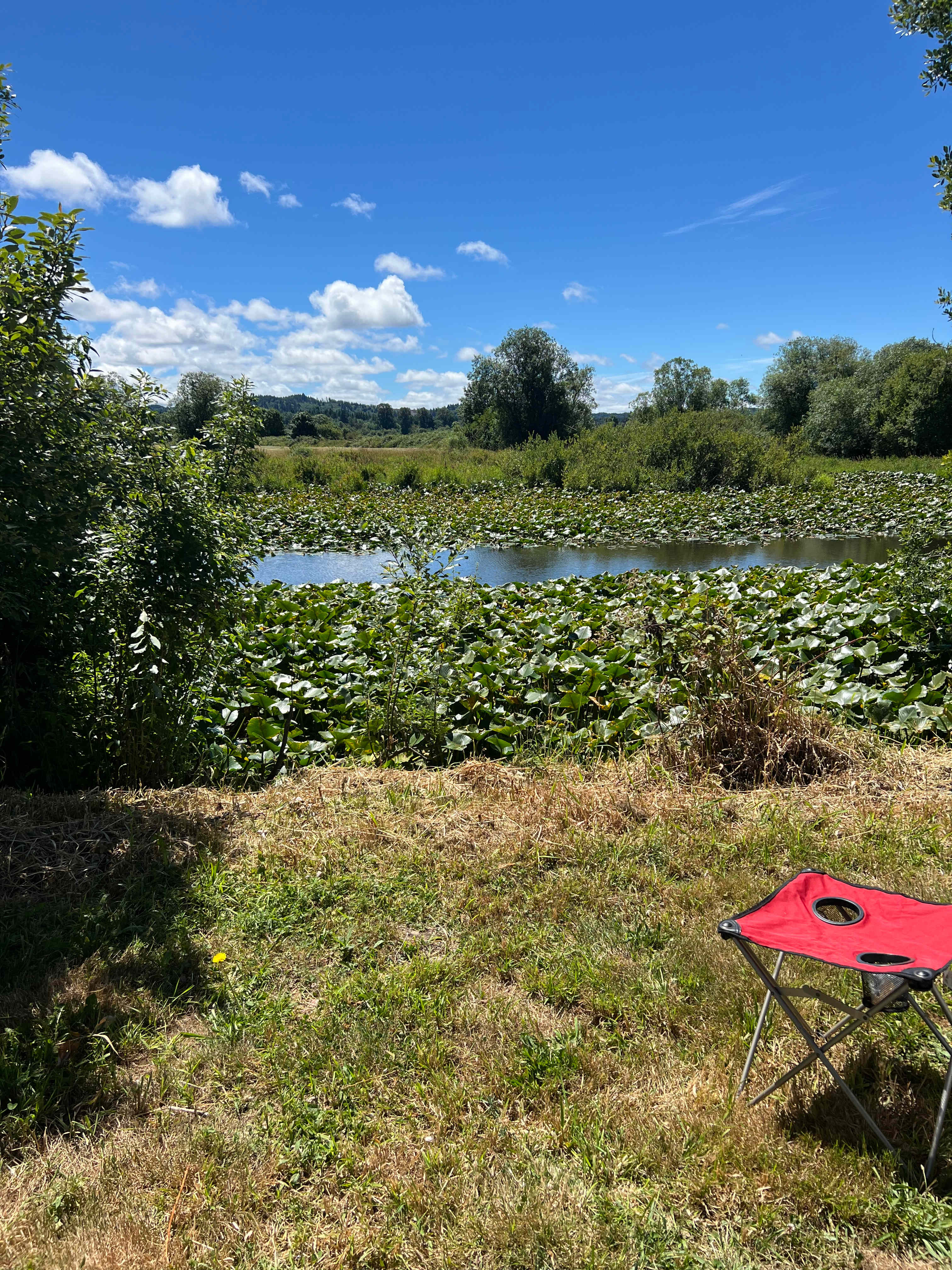 Camp Birdwatch