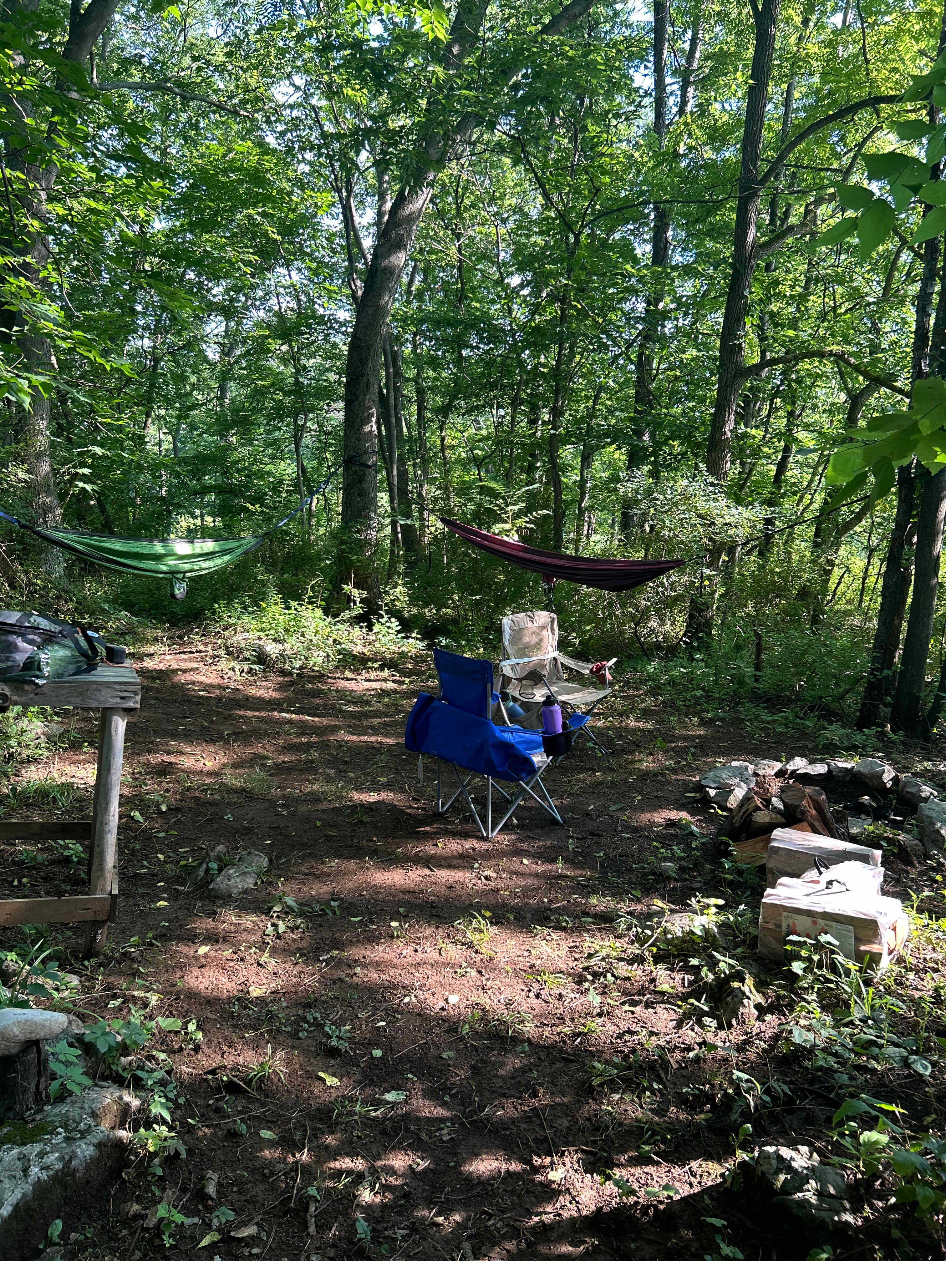 Sacred Roots Herbal Sanctuary