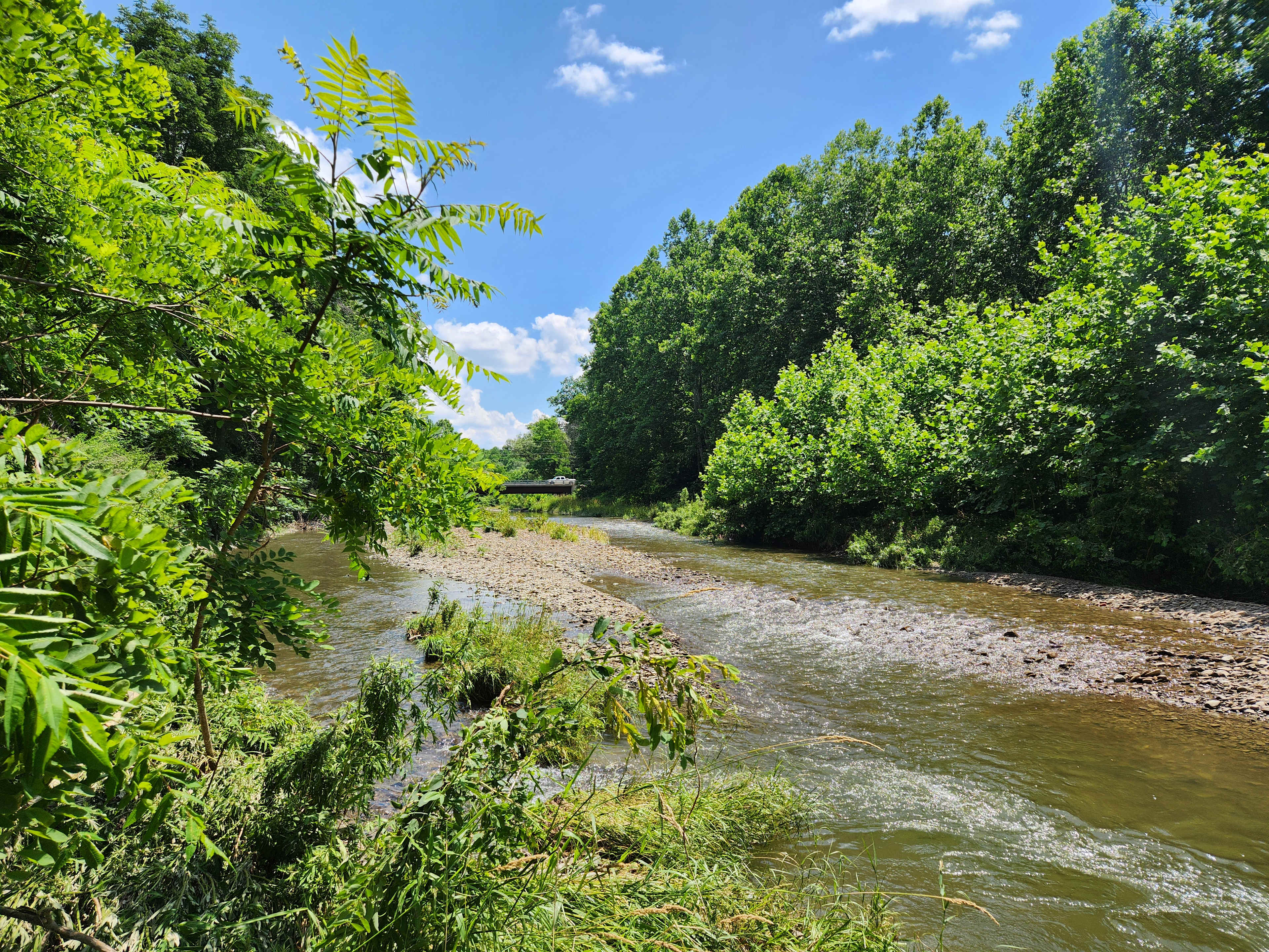 Creekside on Camp Road