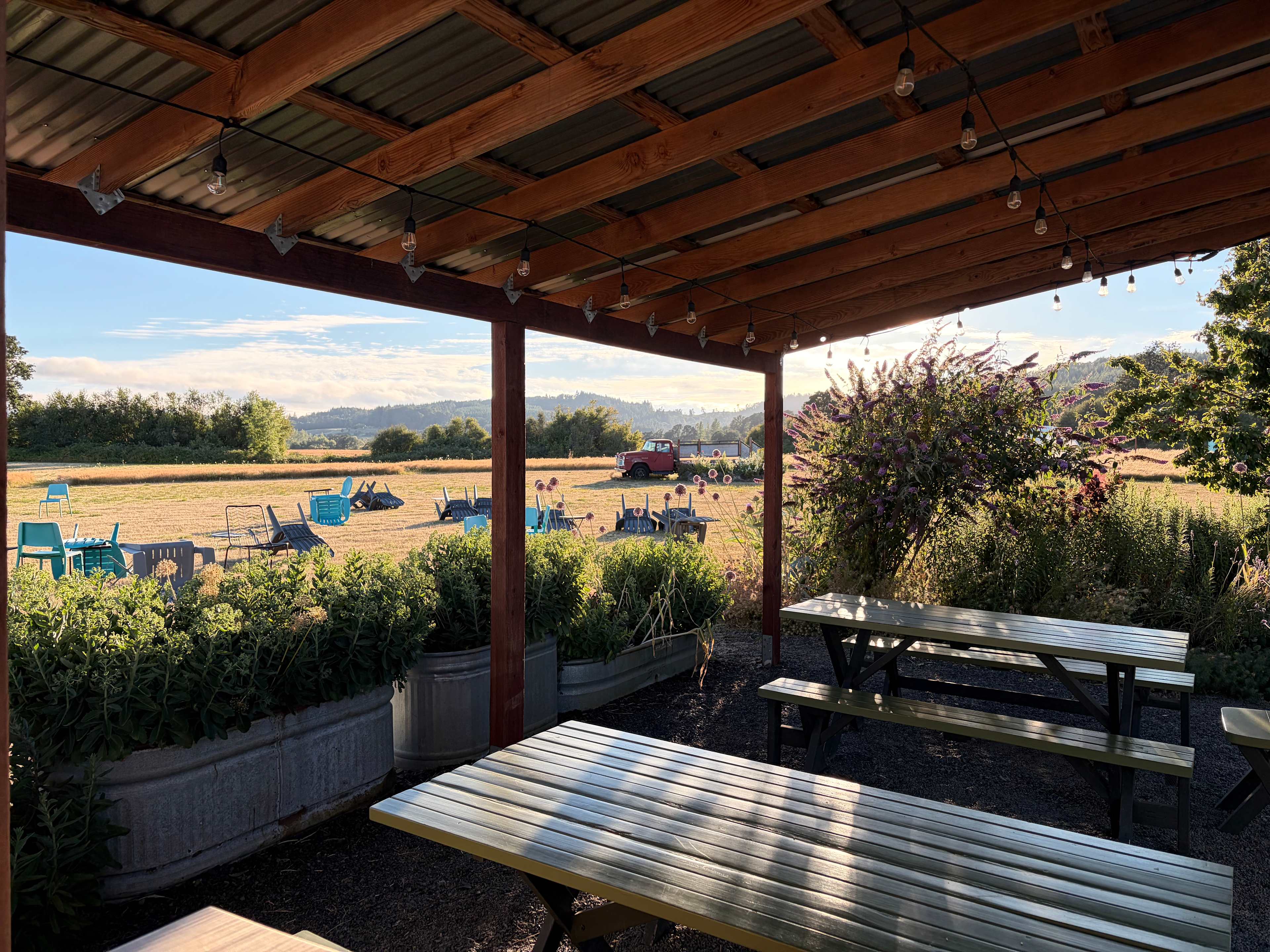 Roshambo ArtFarm