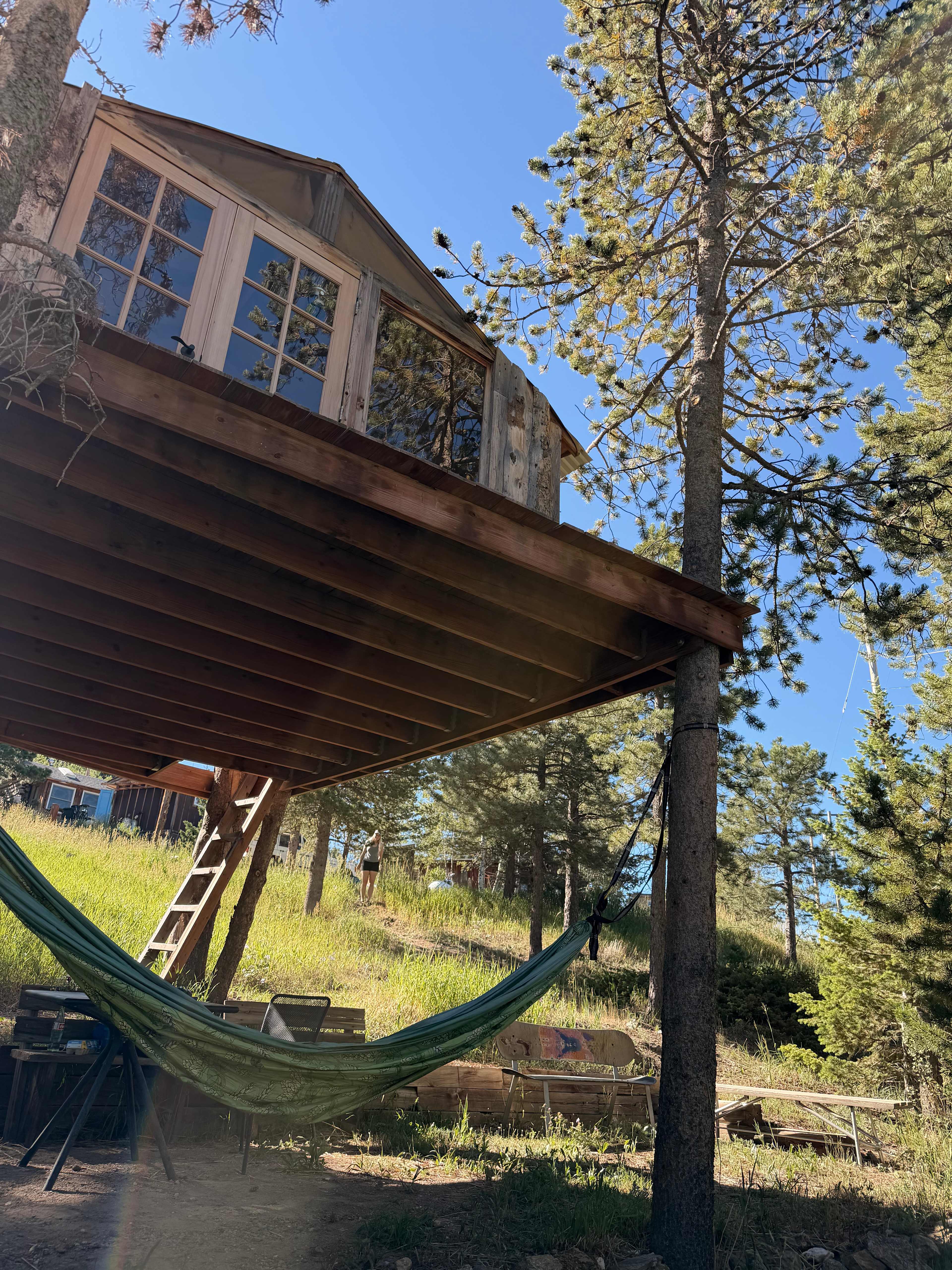 Gold Nugget Tree House + Cabin
