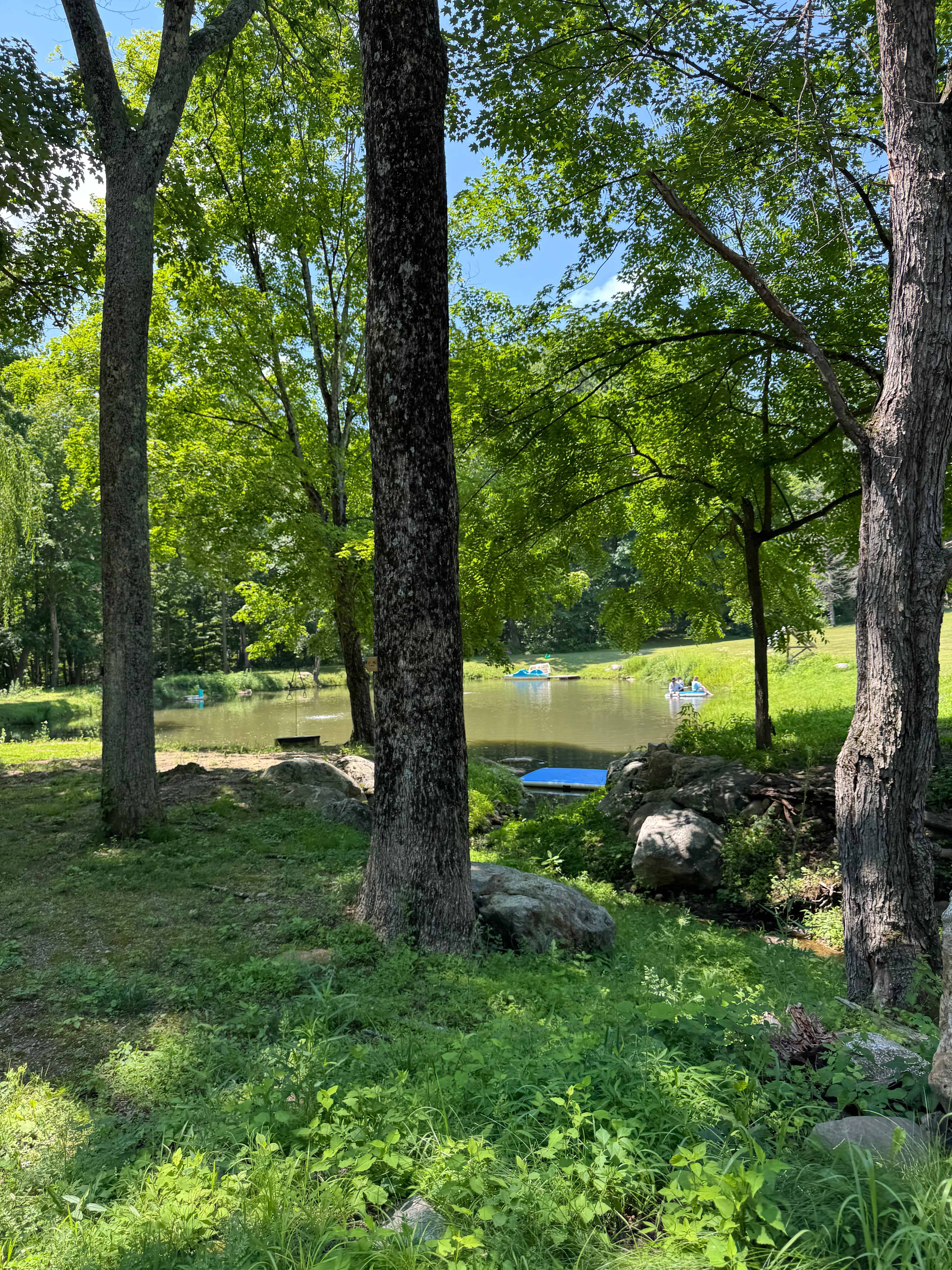 Paradise Valley Homestead