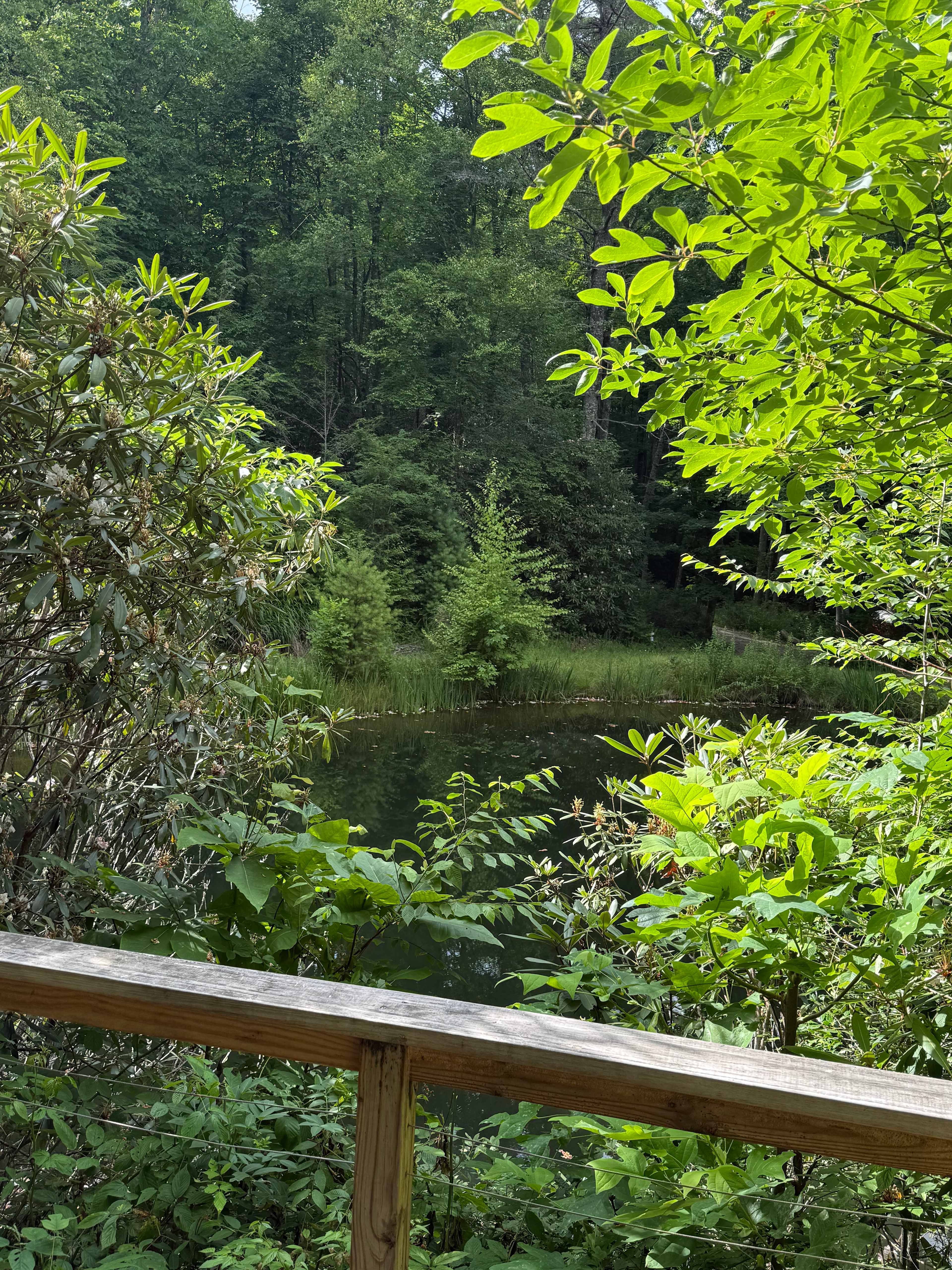 DuPont Bike Retreat