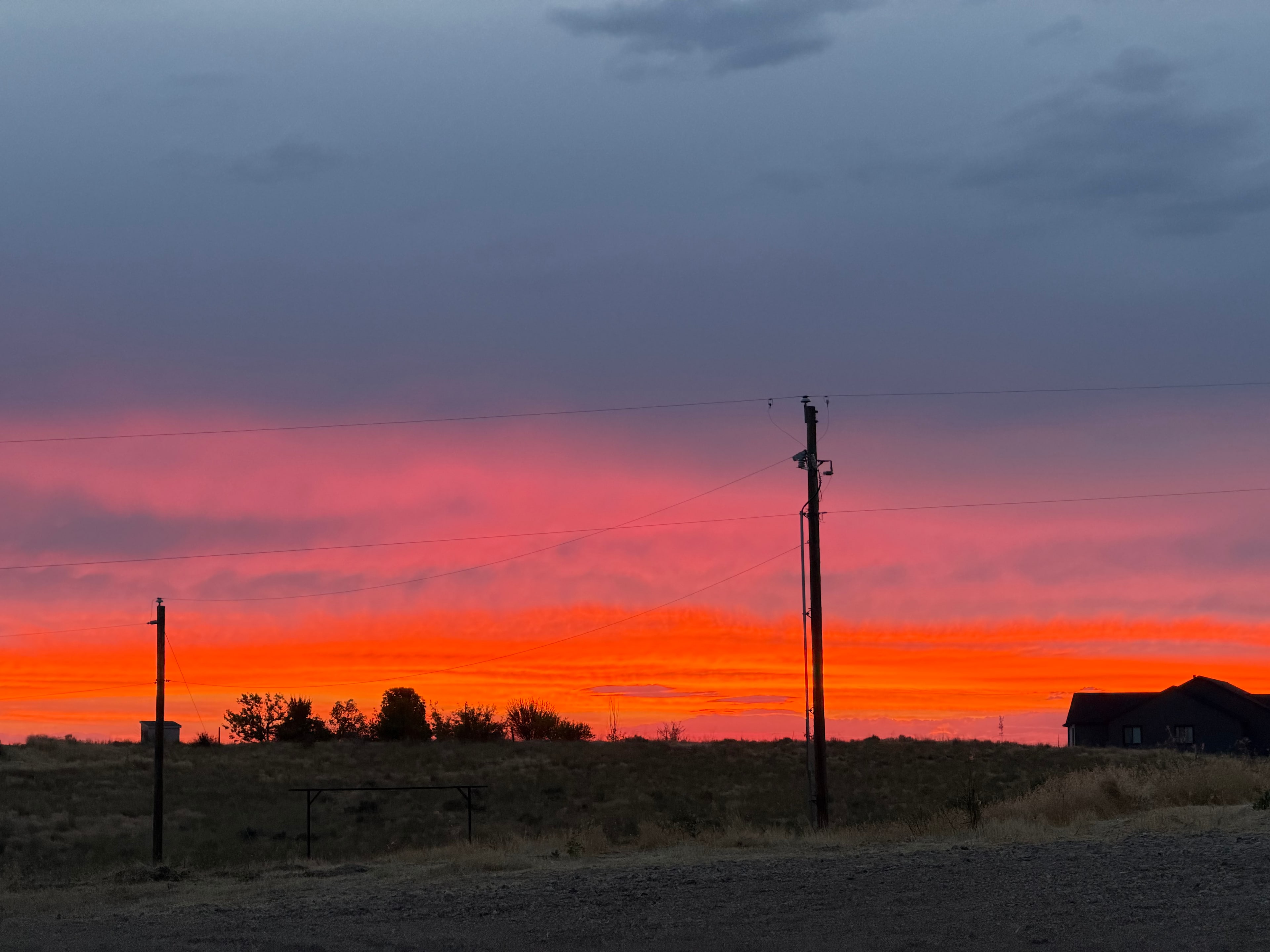 Sandhill View Ranch Campsites ⛺️