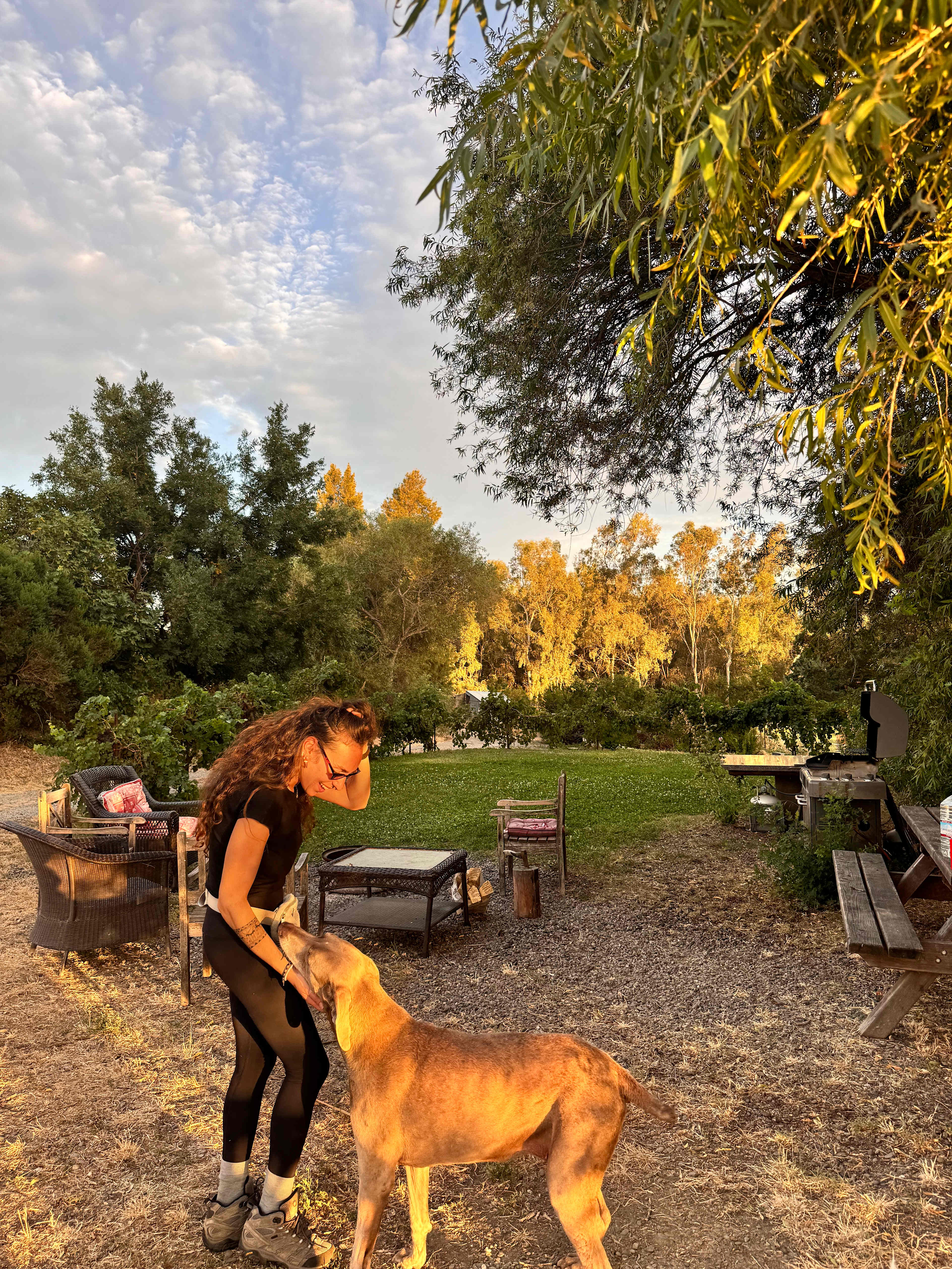 Kimball Farm