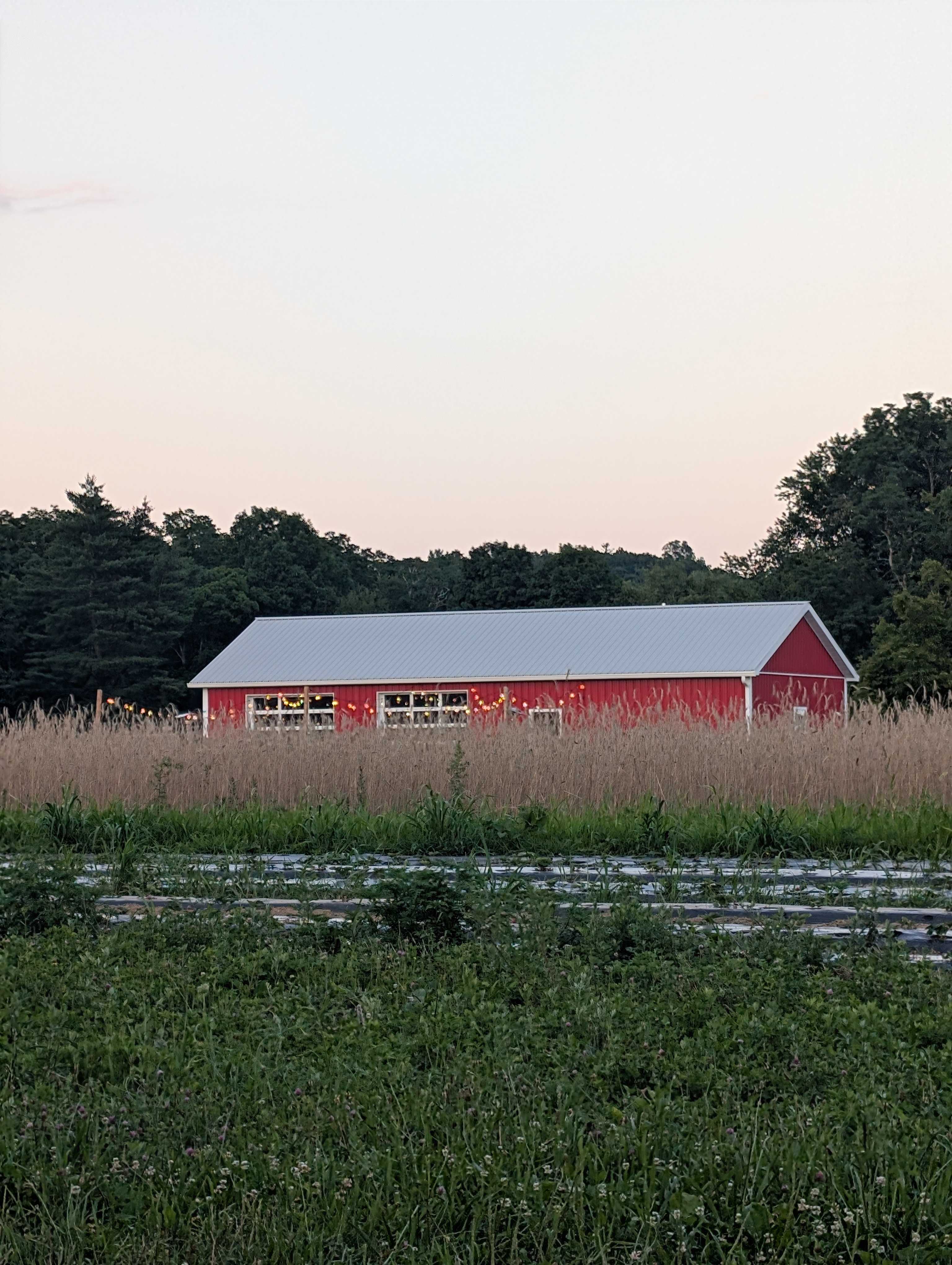 Taliaferro Farms