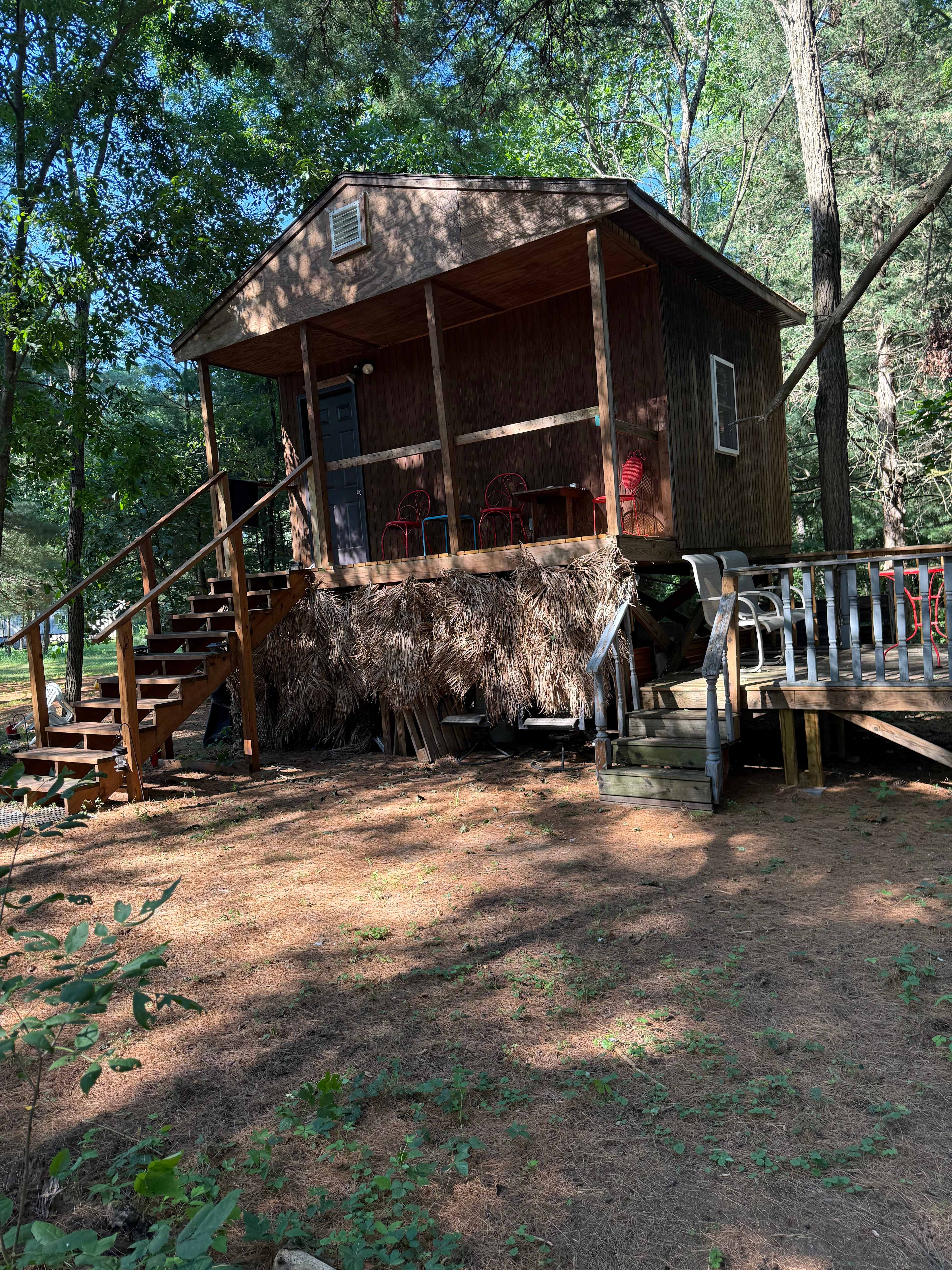 Picture of the site