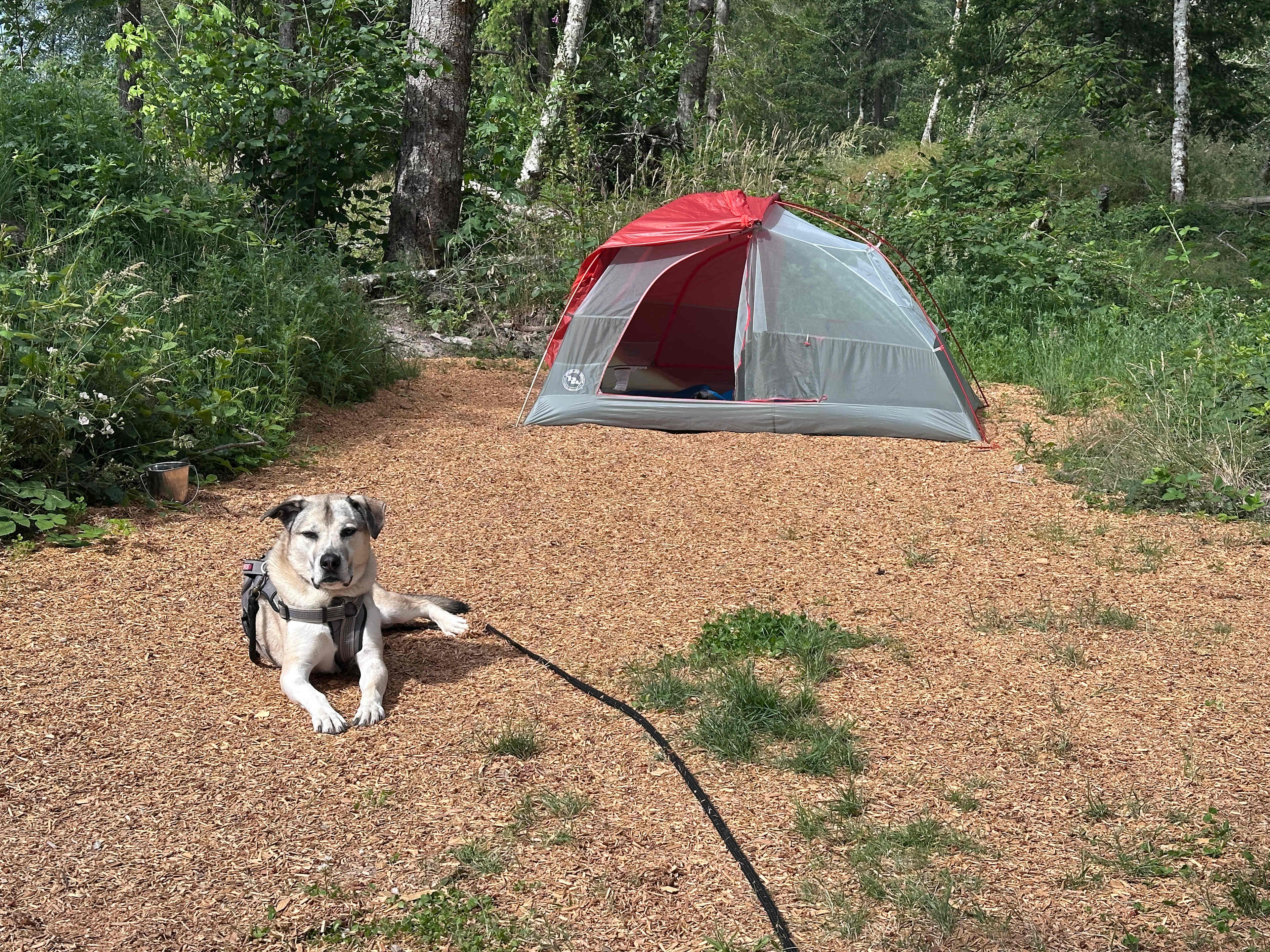 HoHo Farms - Camping @ The River