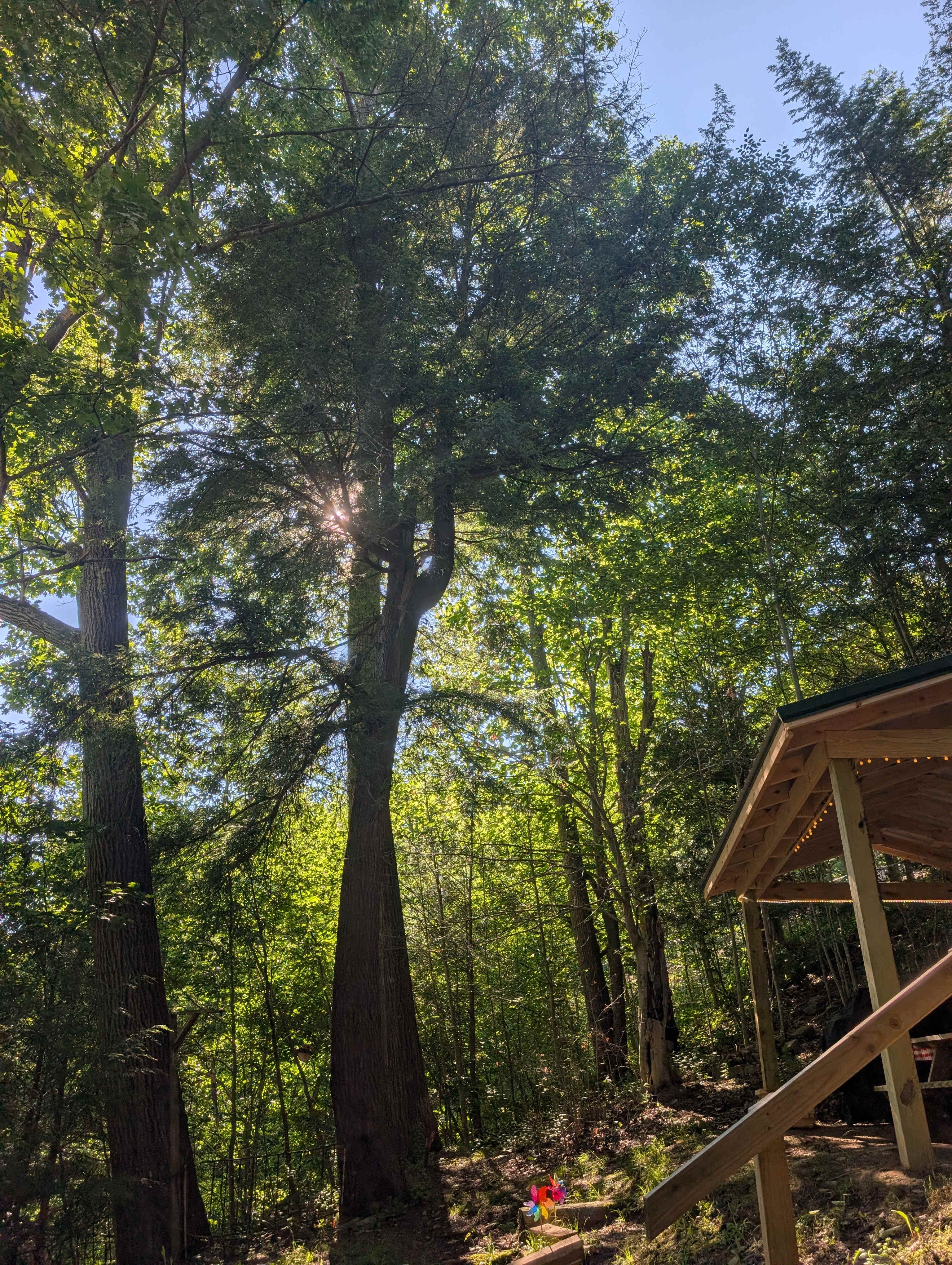The Nest - Creekfront Cabin In ANF