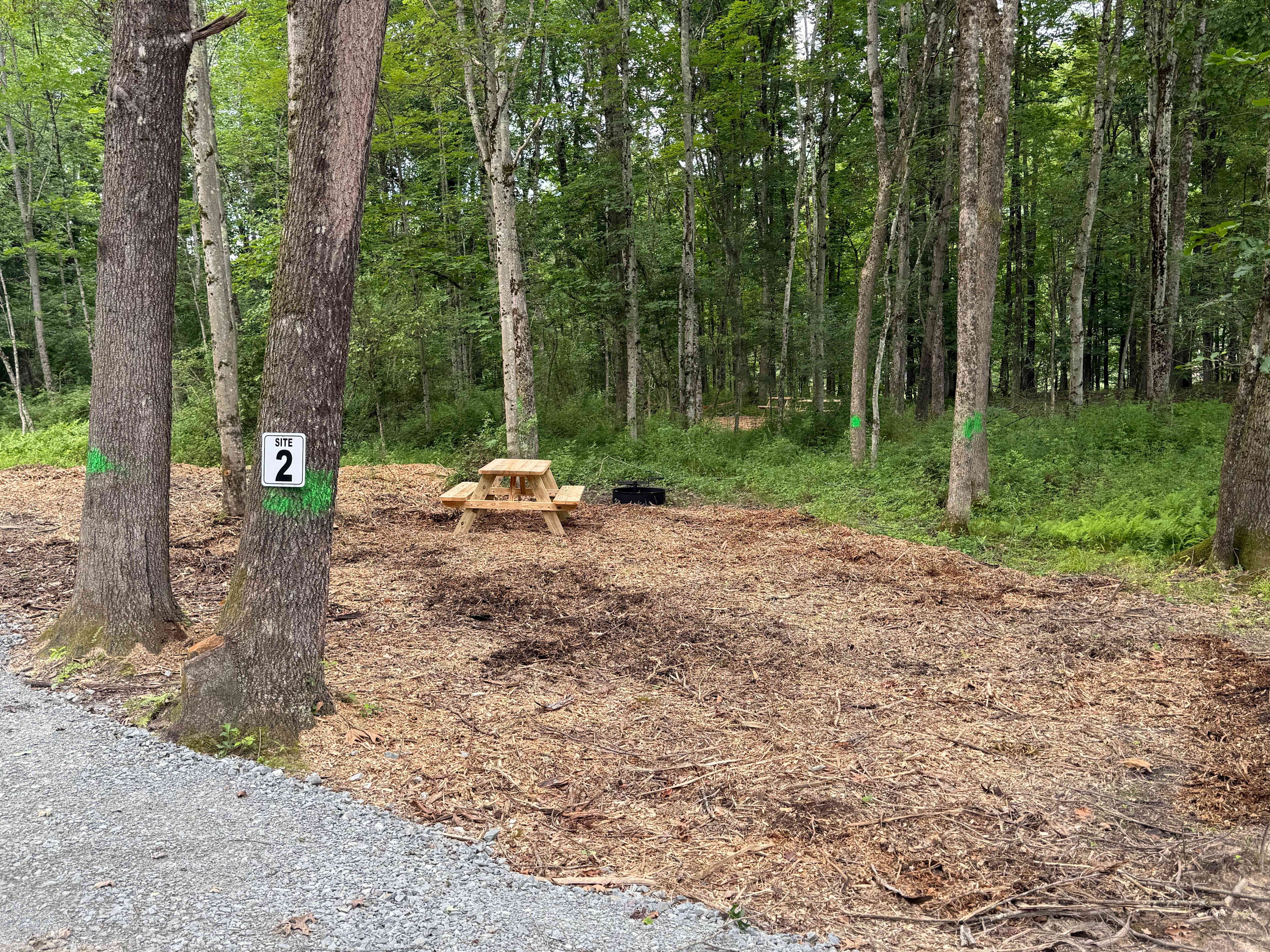 Picture of the site