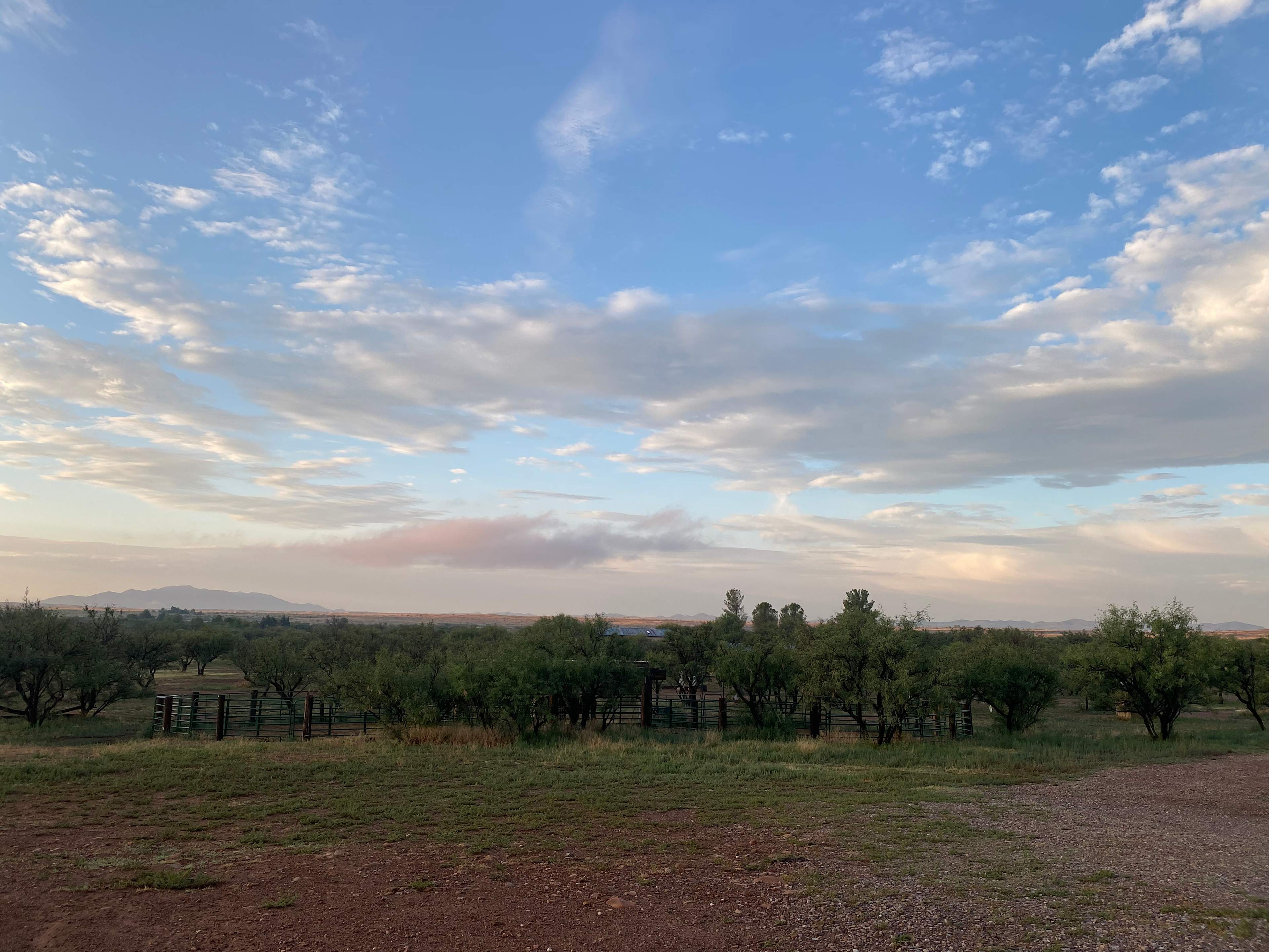Rancho del Nido RV Horse Camp