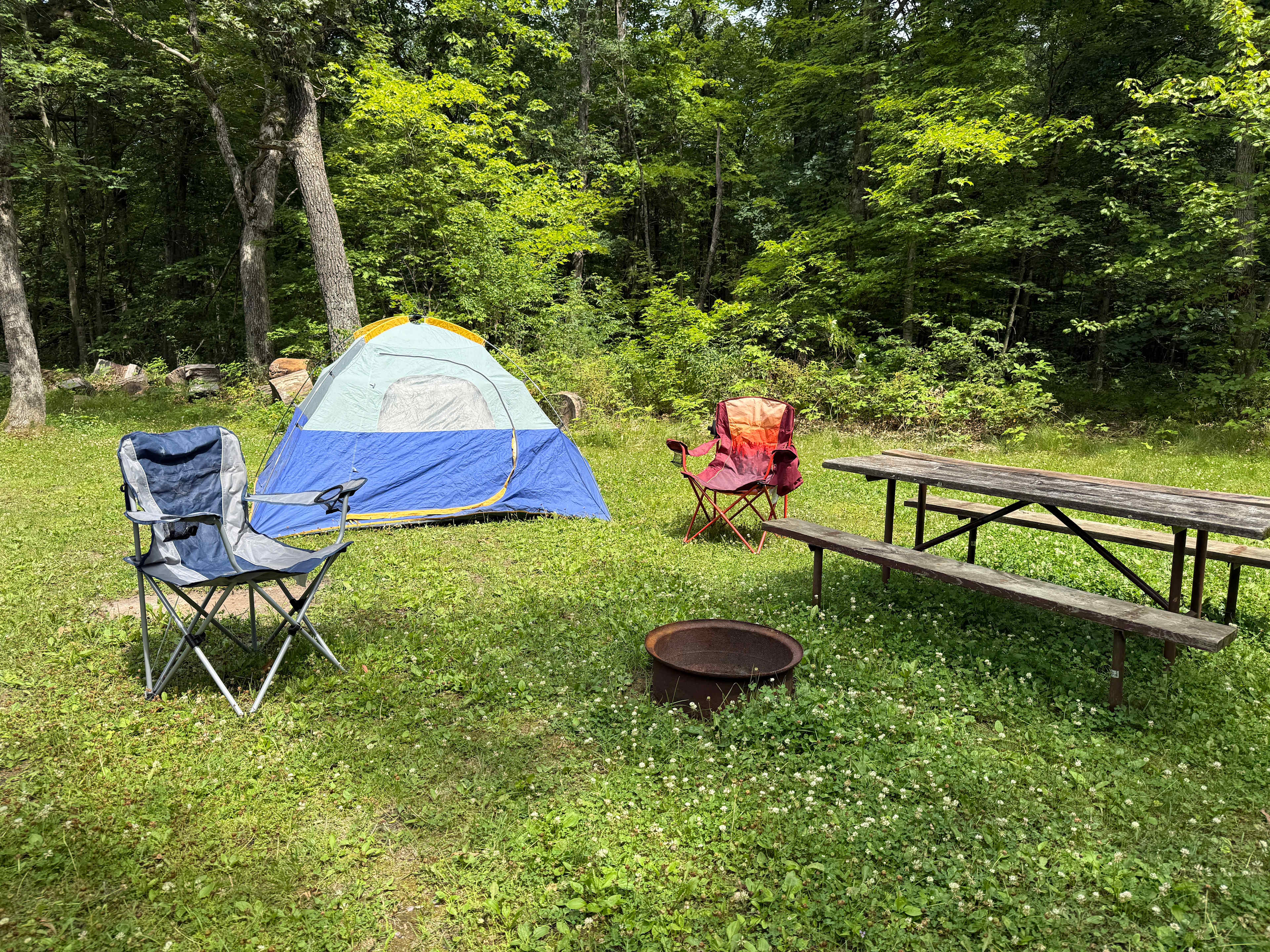 Picture of the site