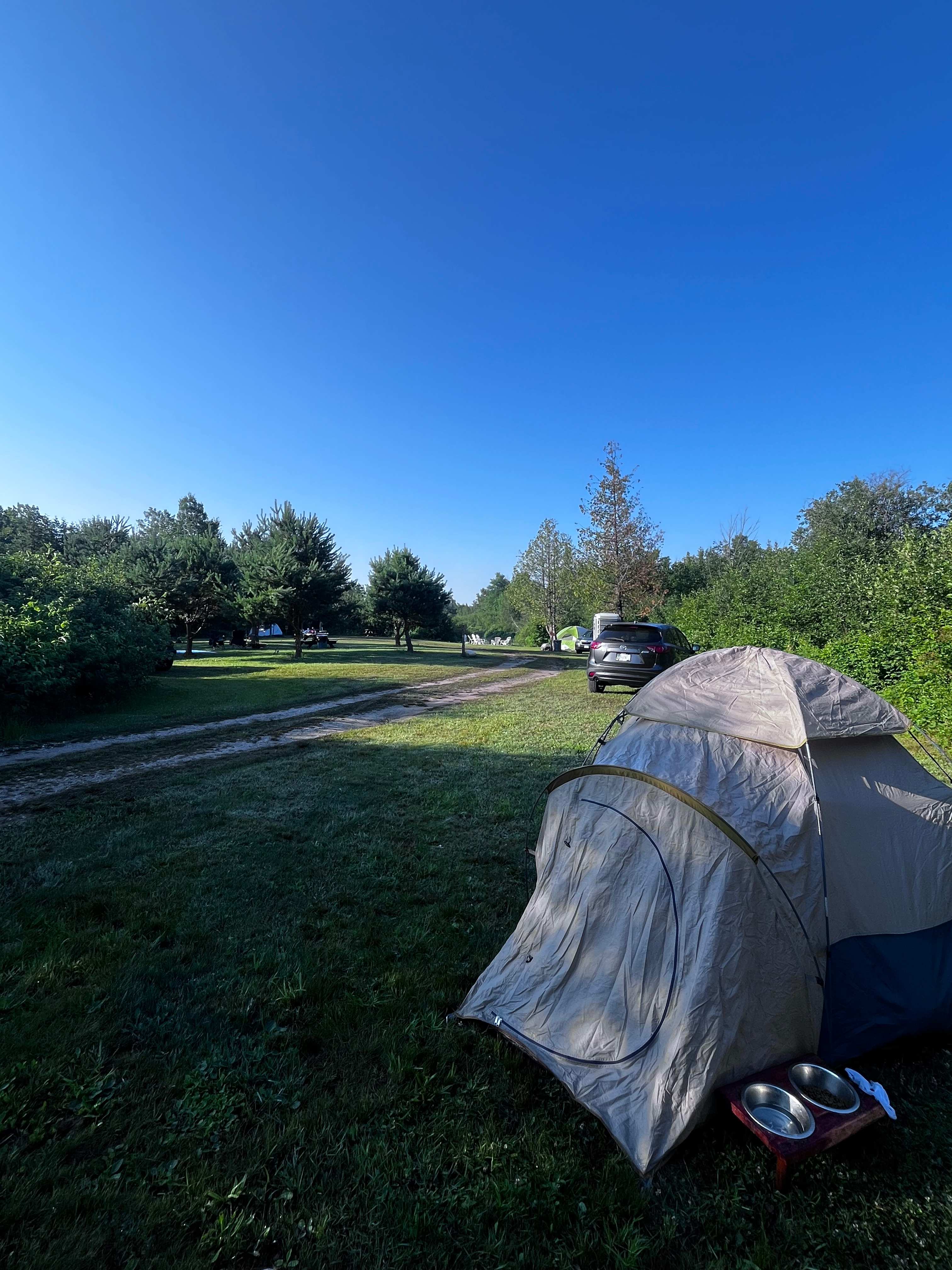 Bear run site 