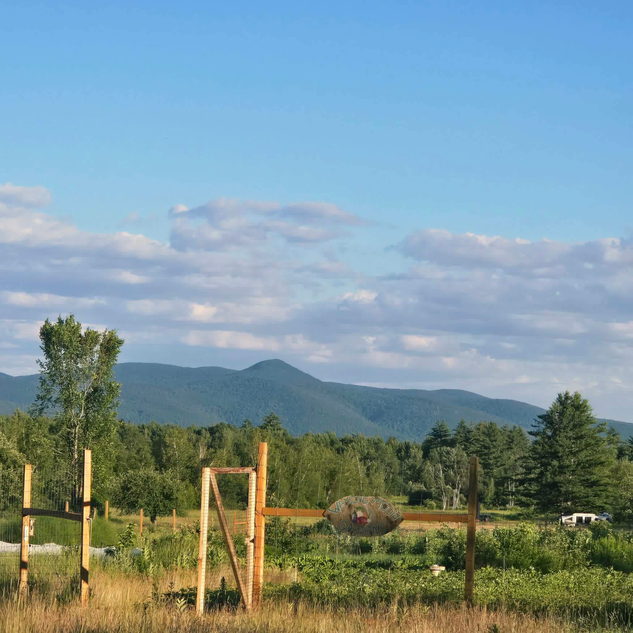 View from the main house