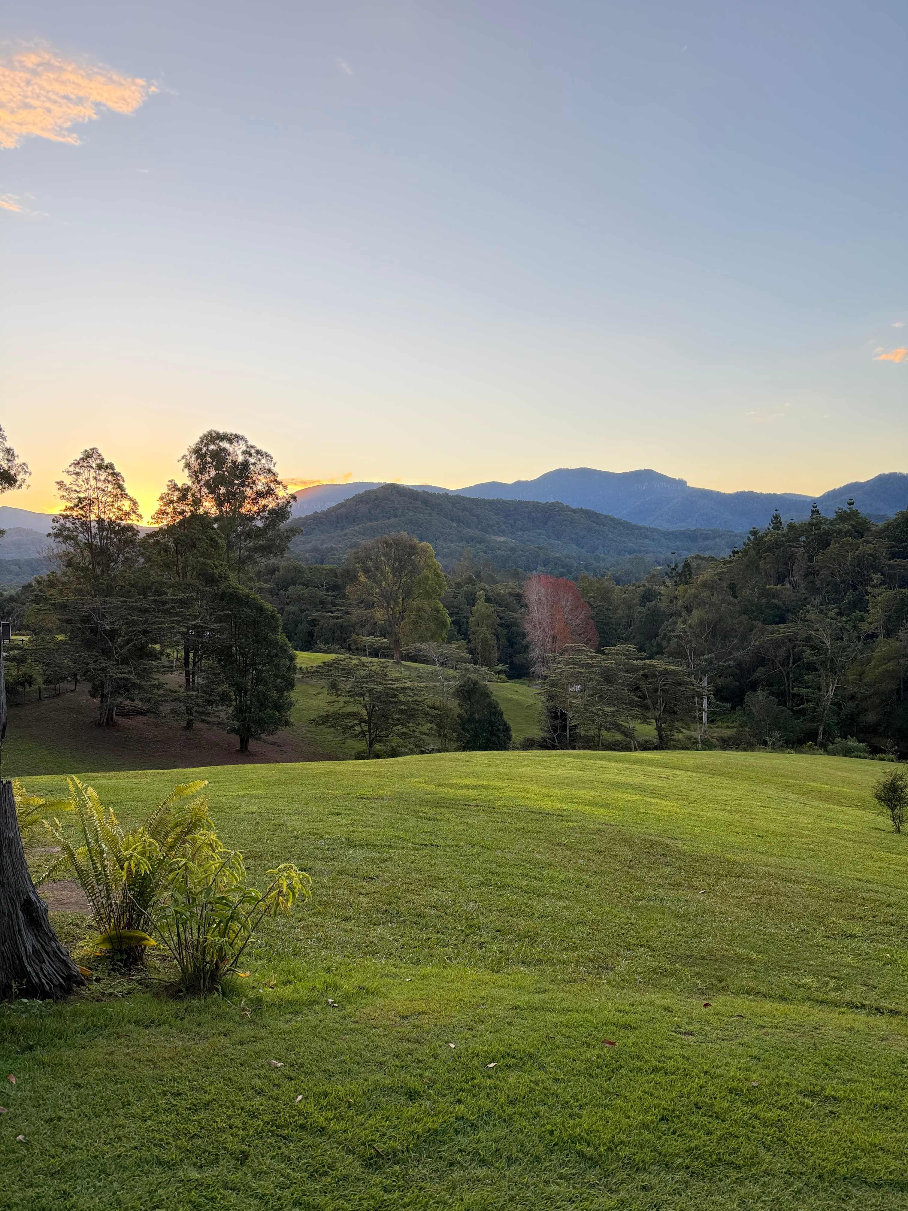 Sarah’s Farm🕊️ 4wd