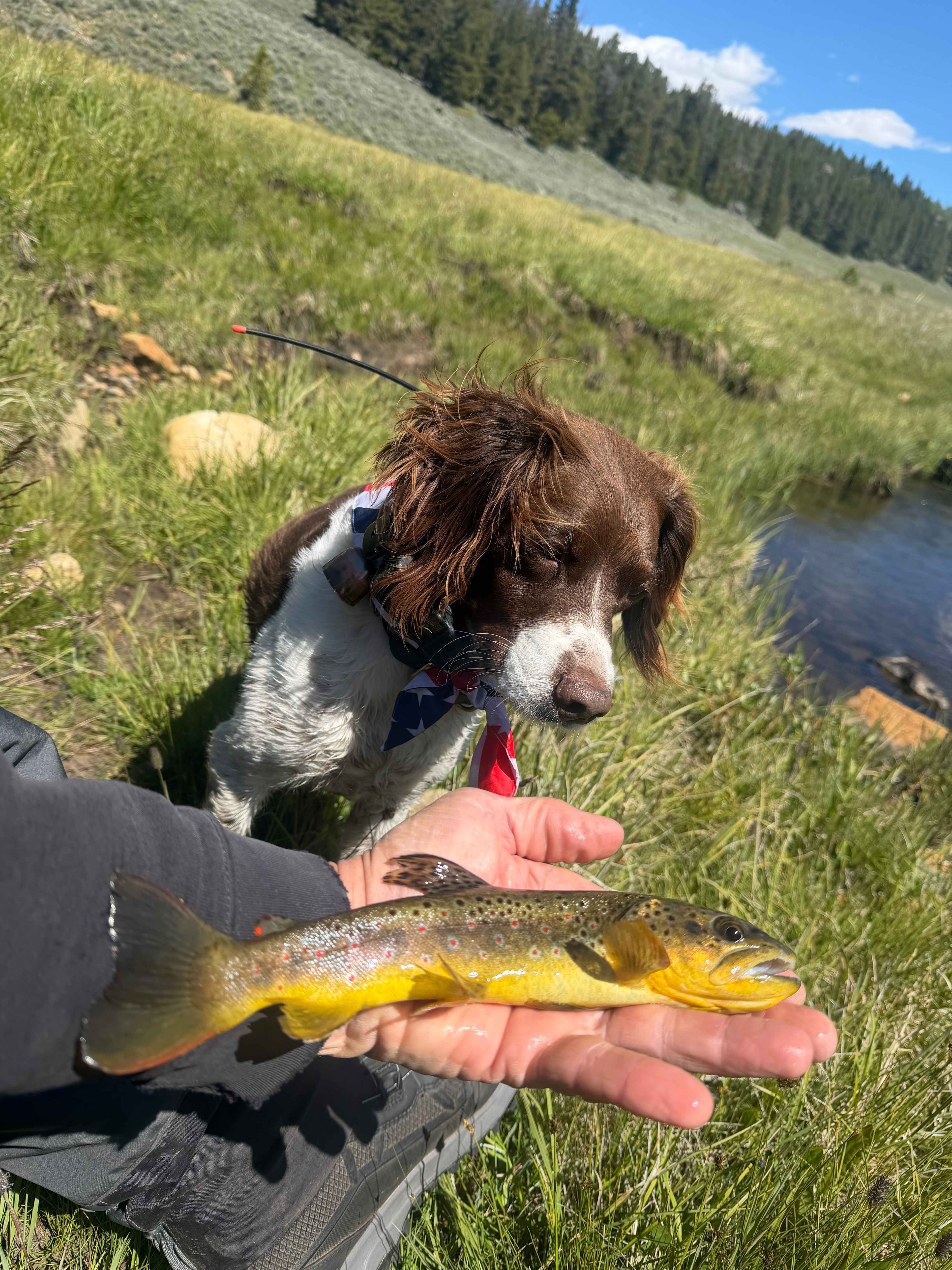 But I am close to great fishing…