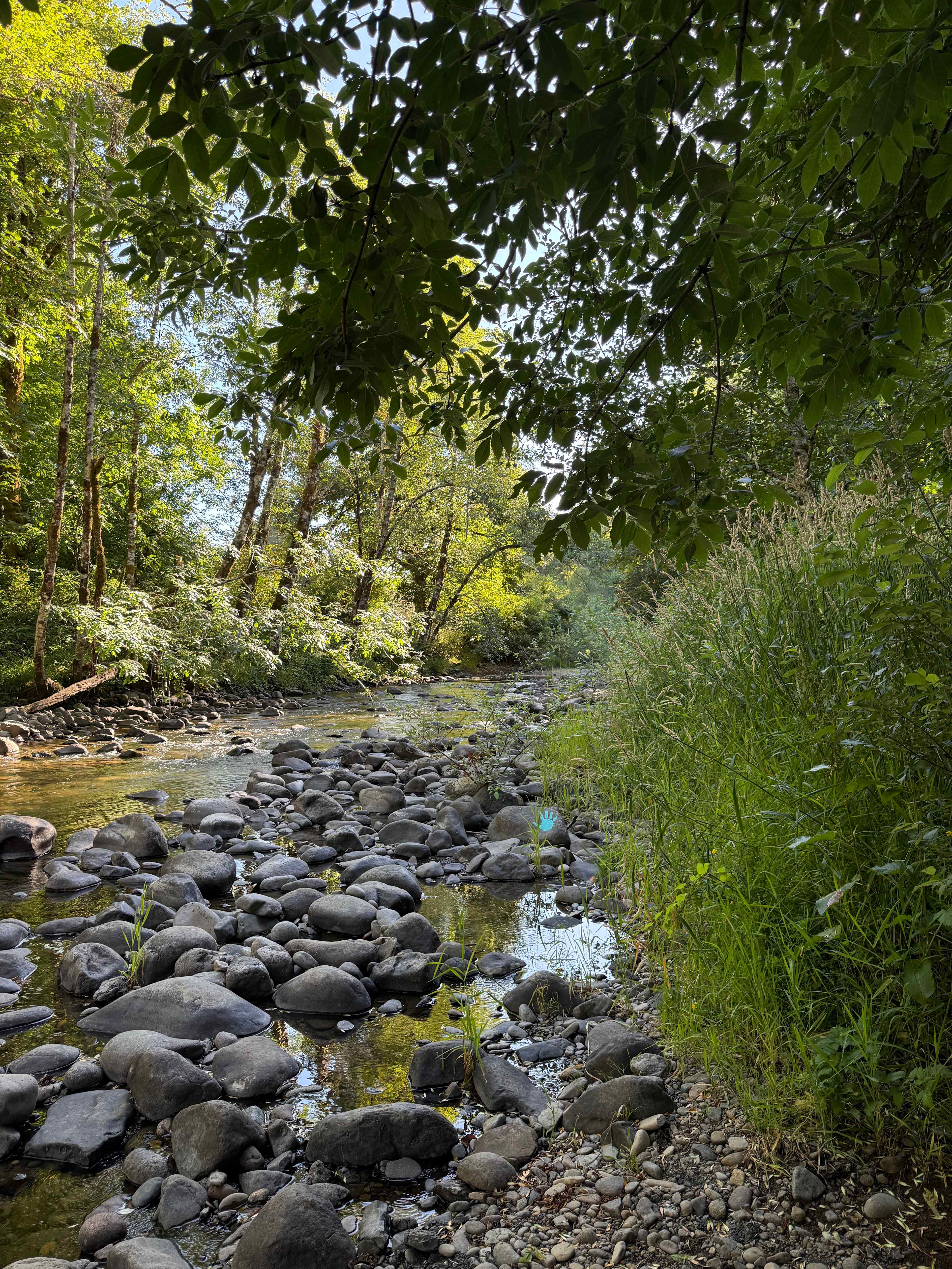 Rock Crick Acres