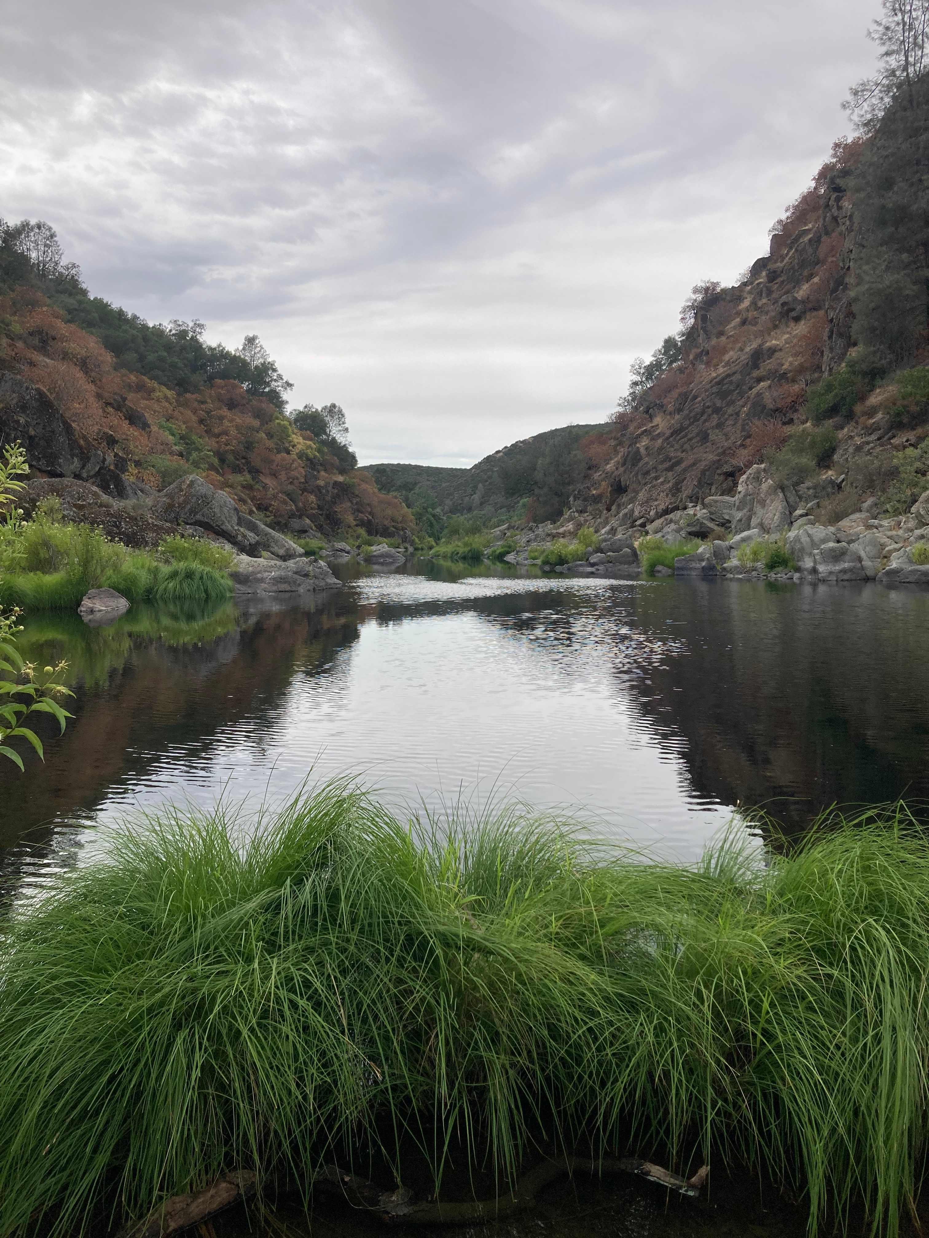 Cosumnes River Ranch