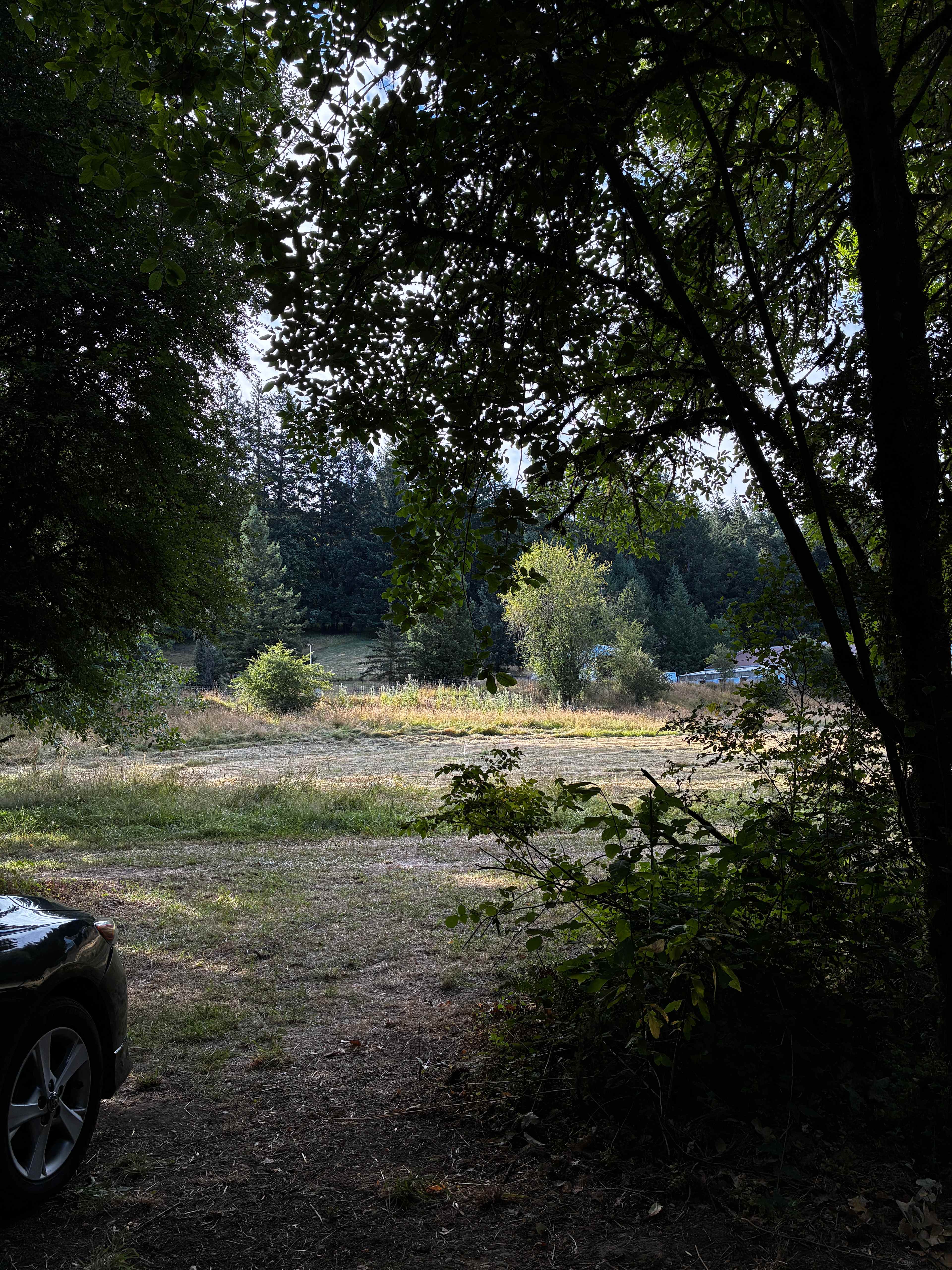 Circle C Farm