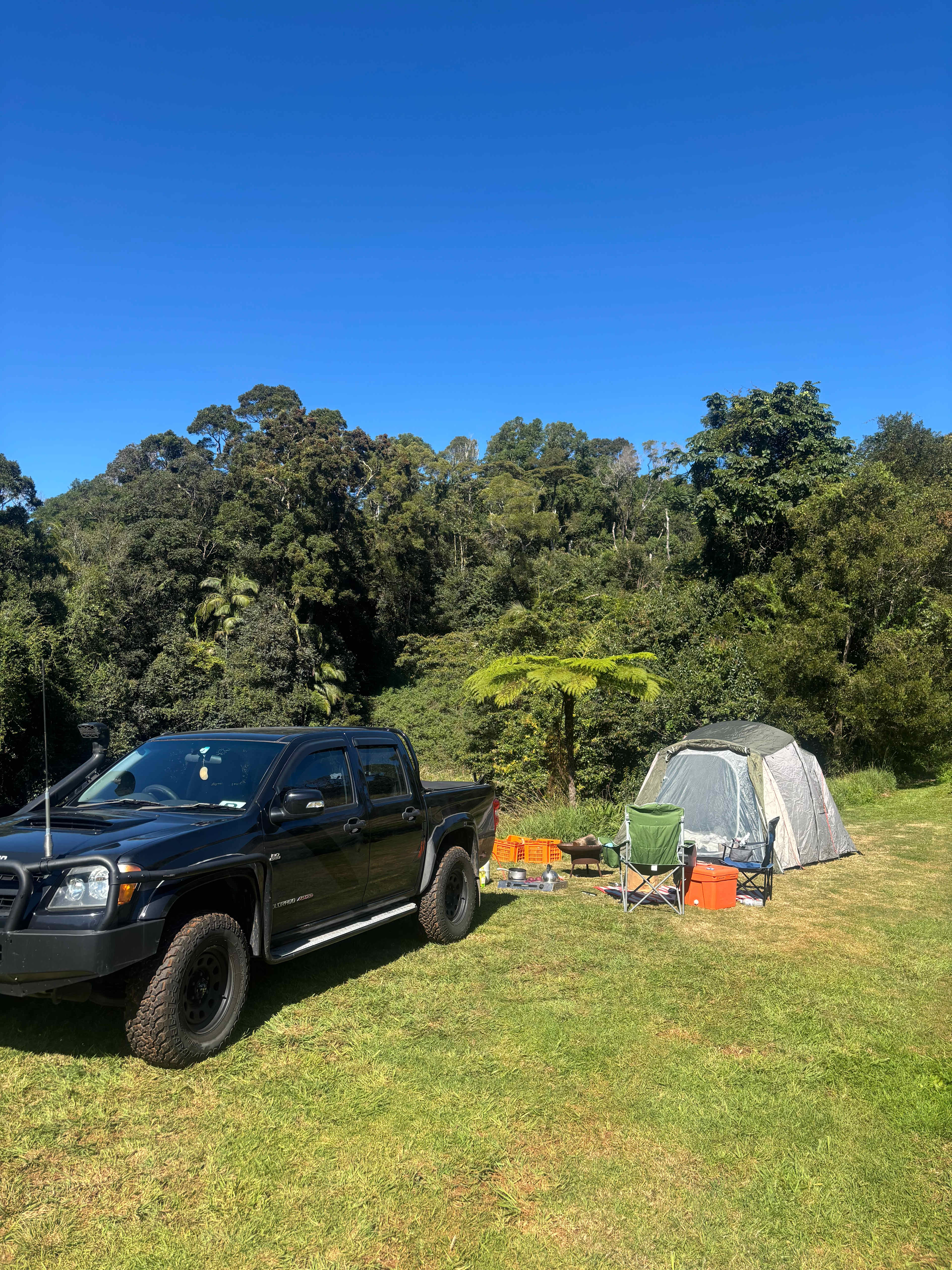 Tremayne - The Old Avocado Farm