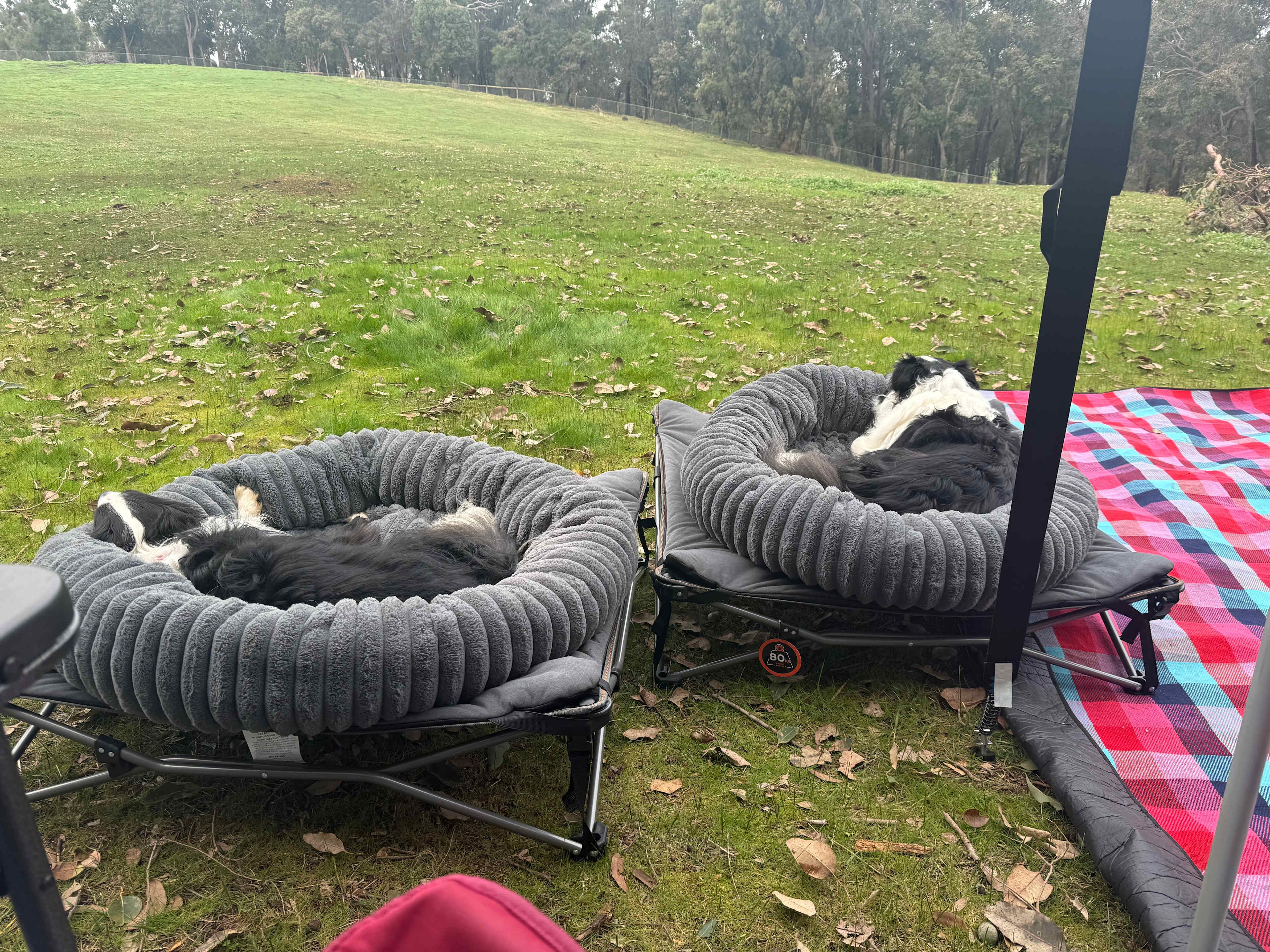 Bunyip Meadows