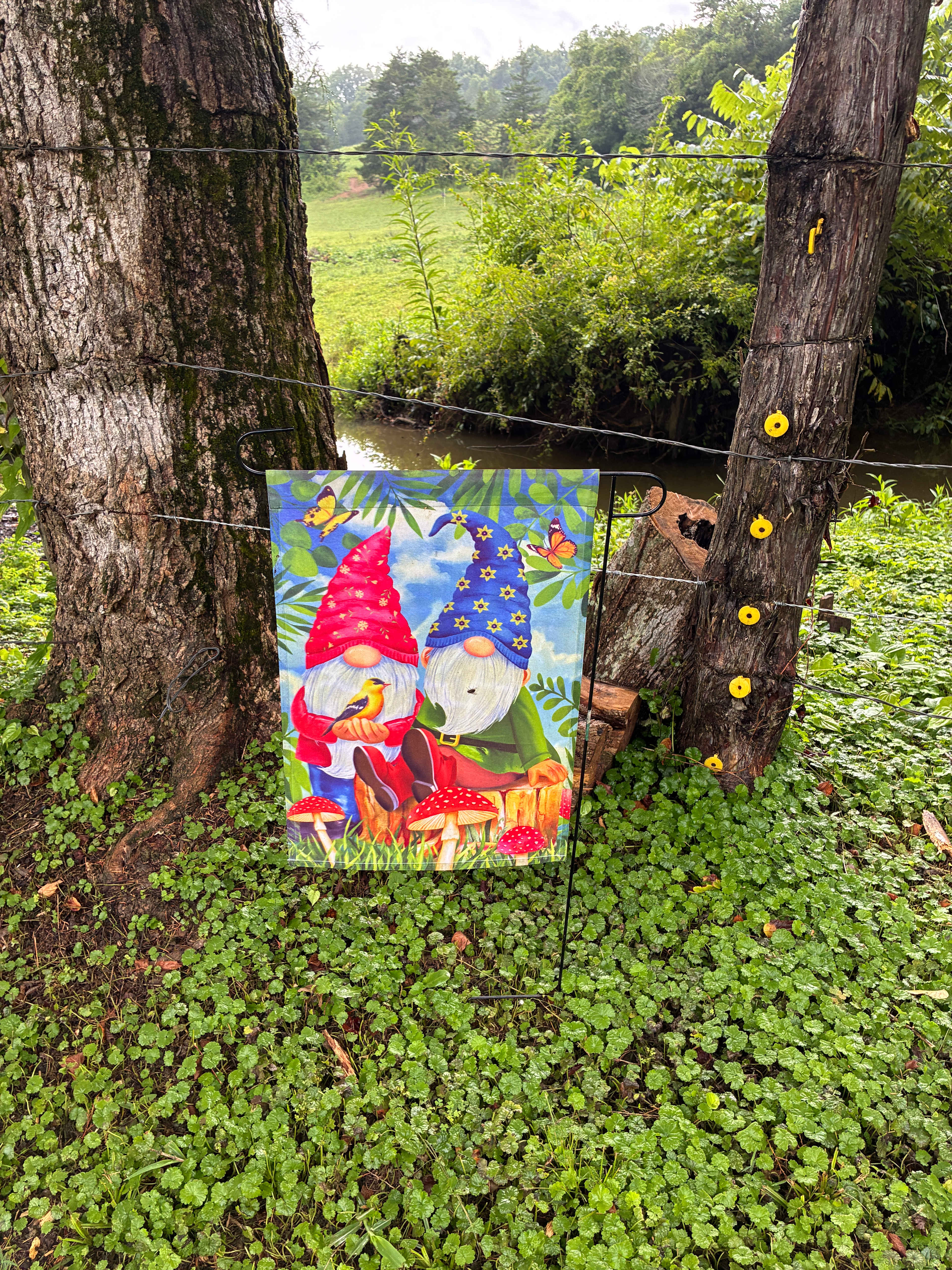 Harmony Hollow n the Smokies