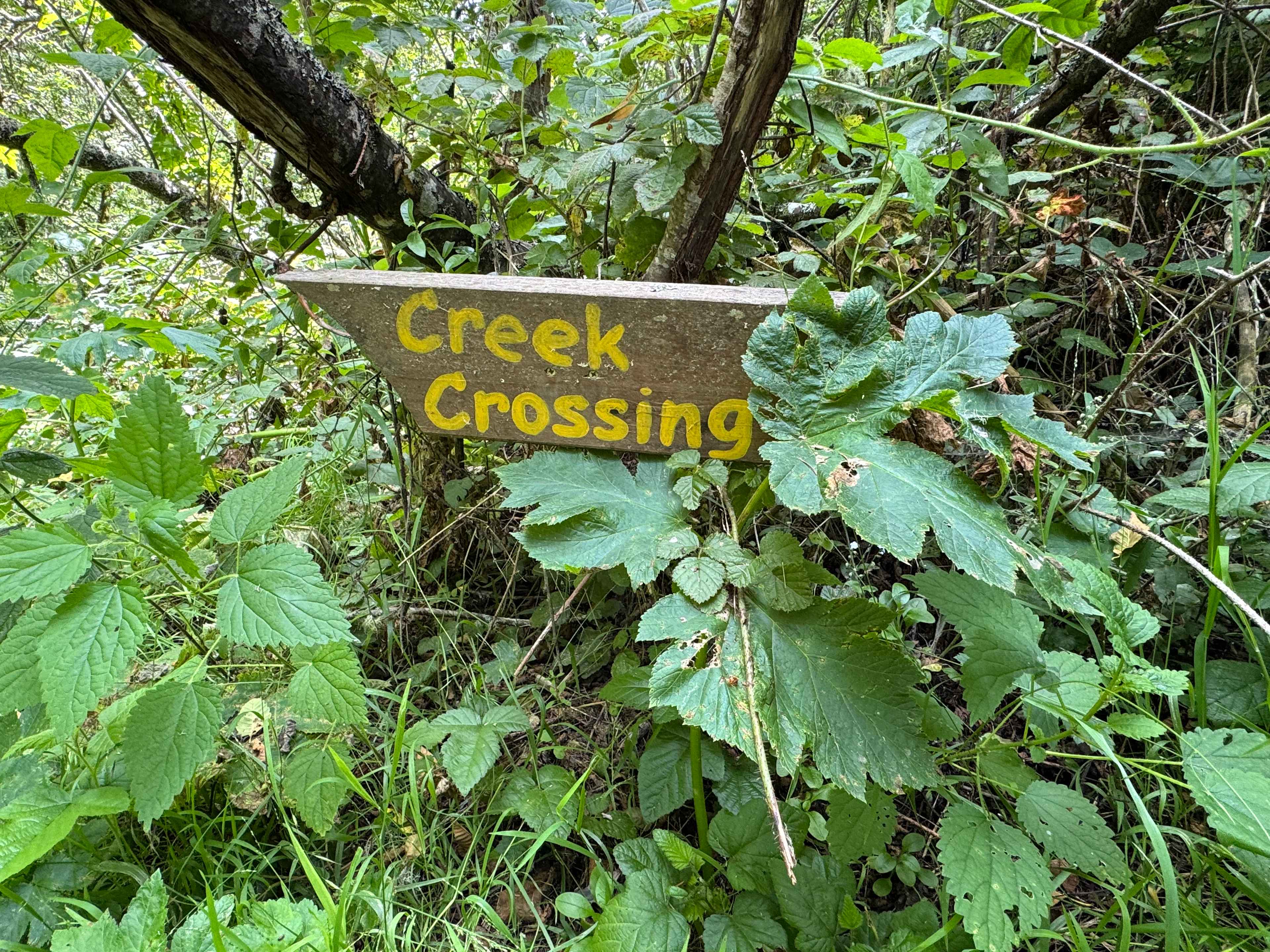 Salmon Creek Ranch