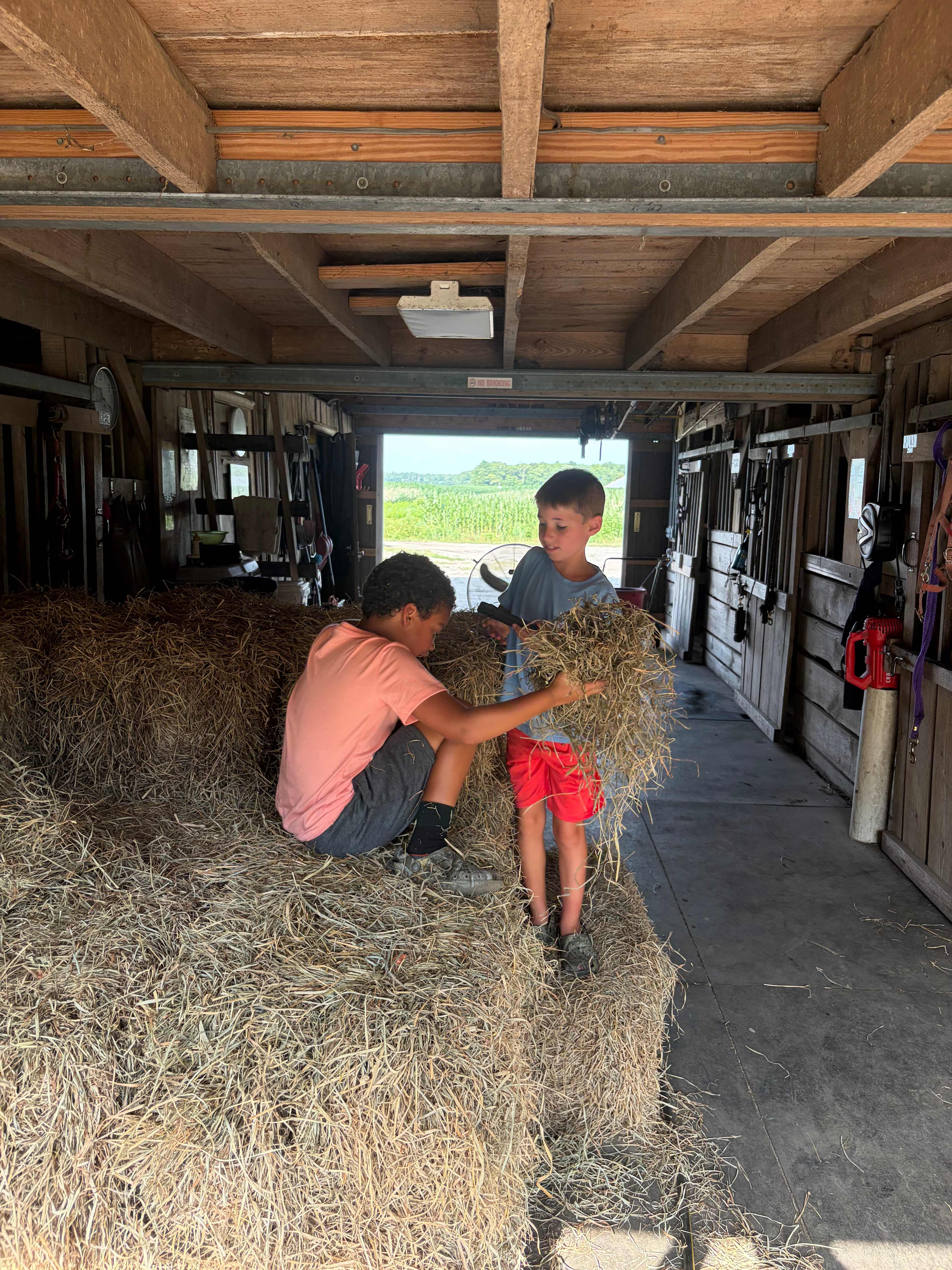 Having fun in the stable