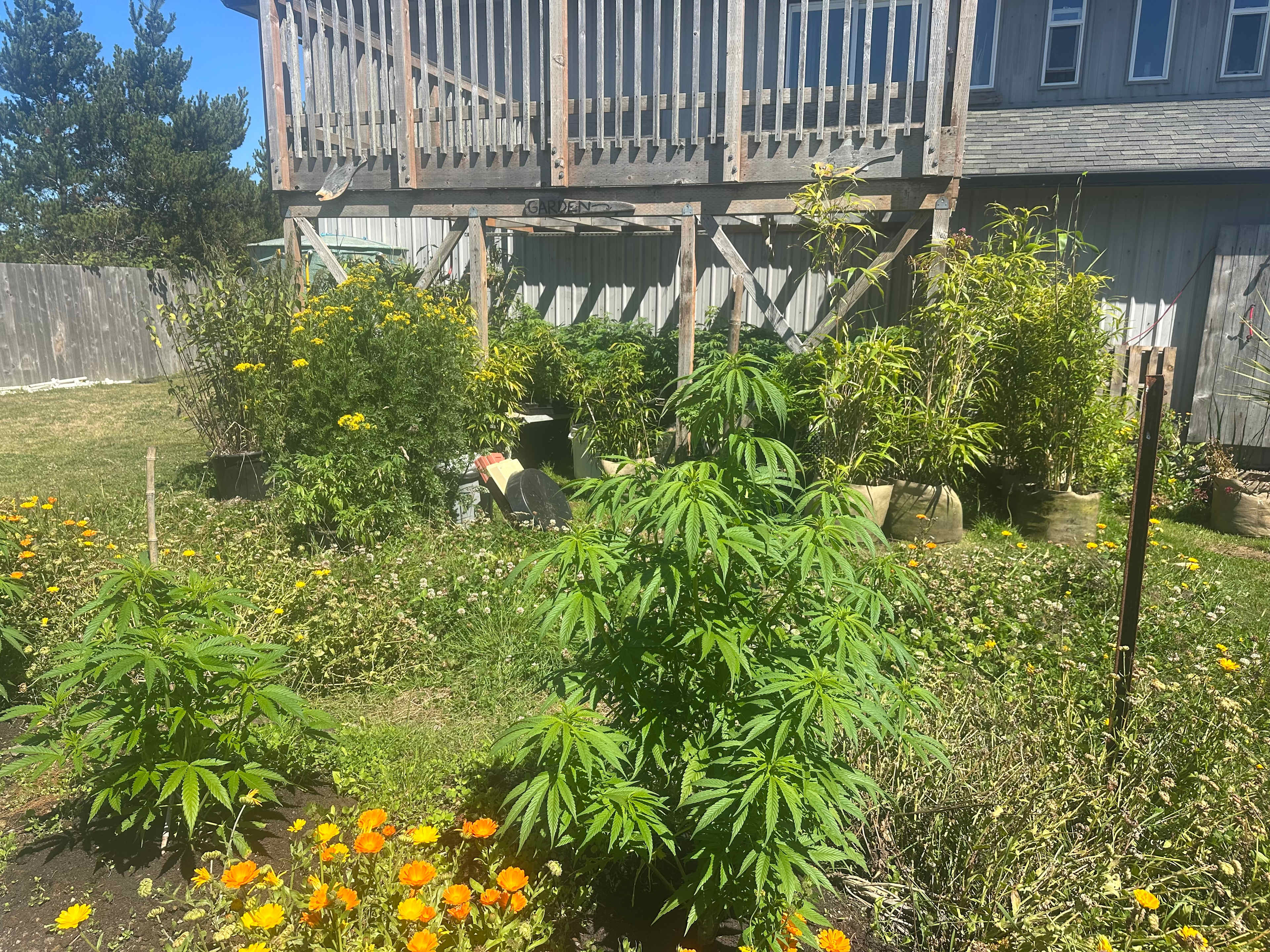 Coastal Farm Sanctuary