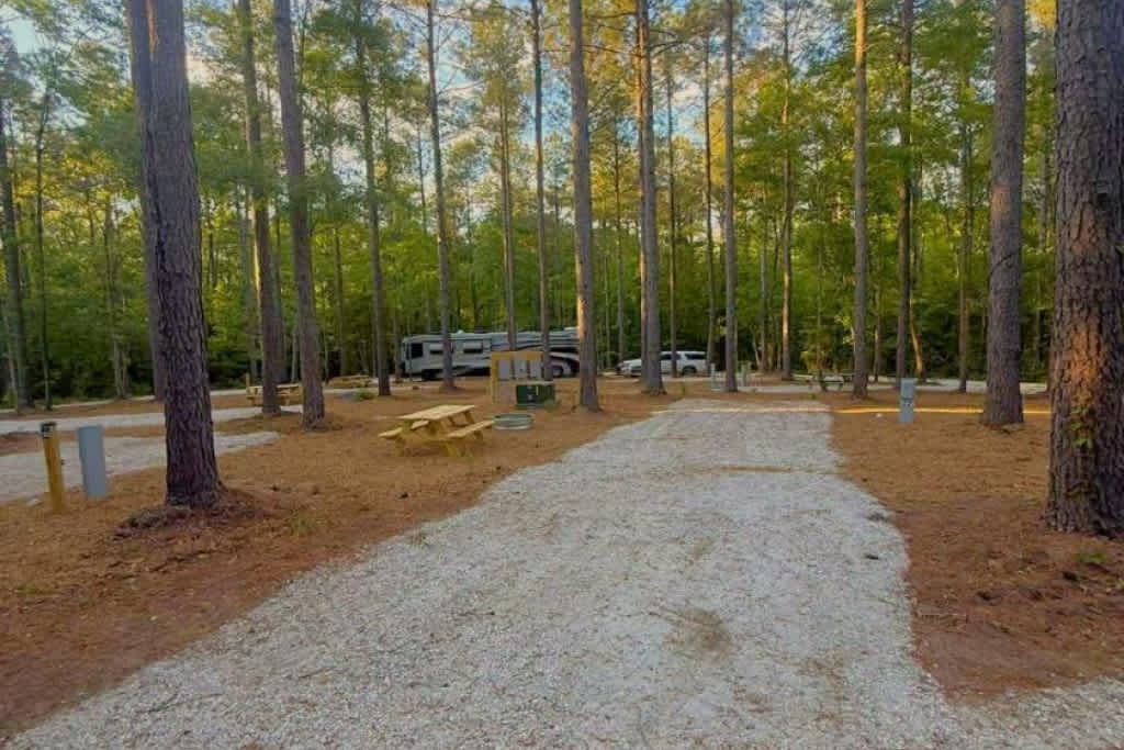 Picture of the site