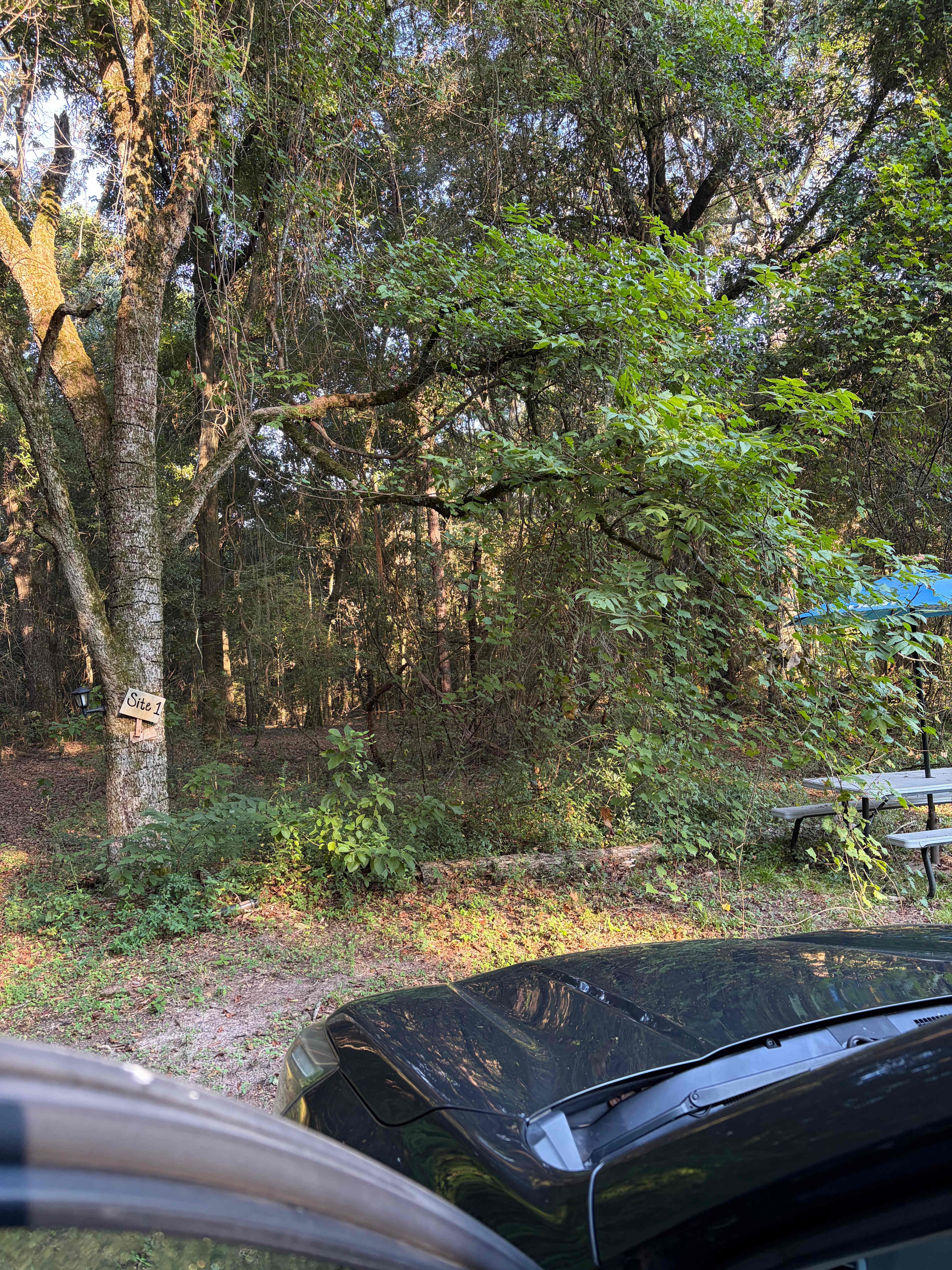 The Pecan Orchard CampGrounds