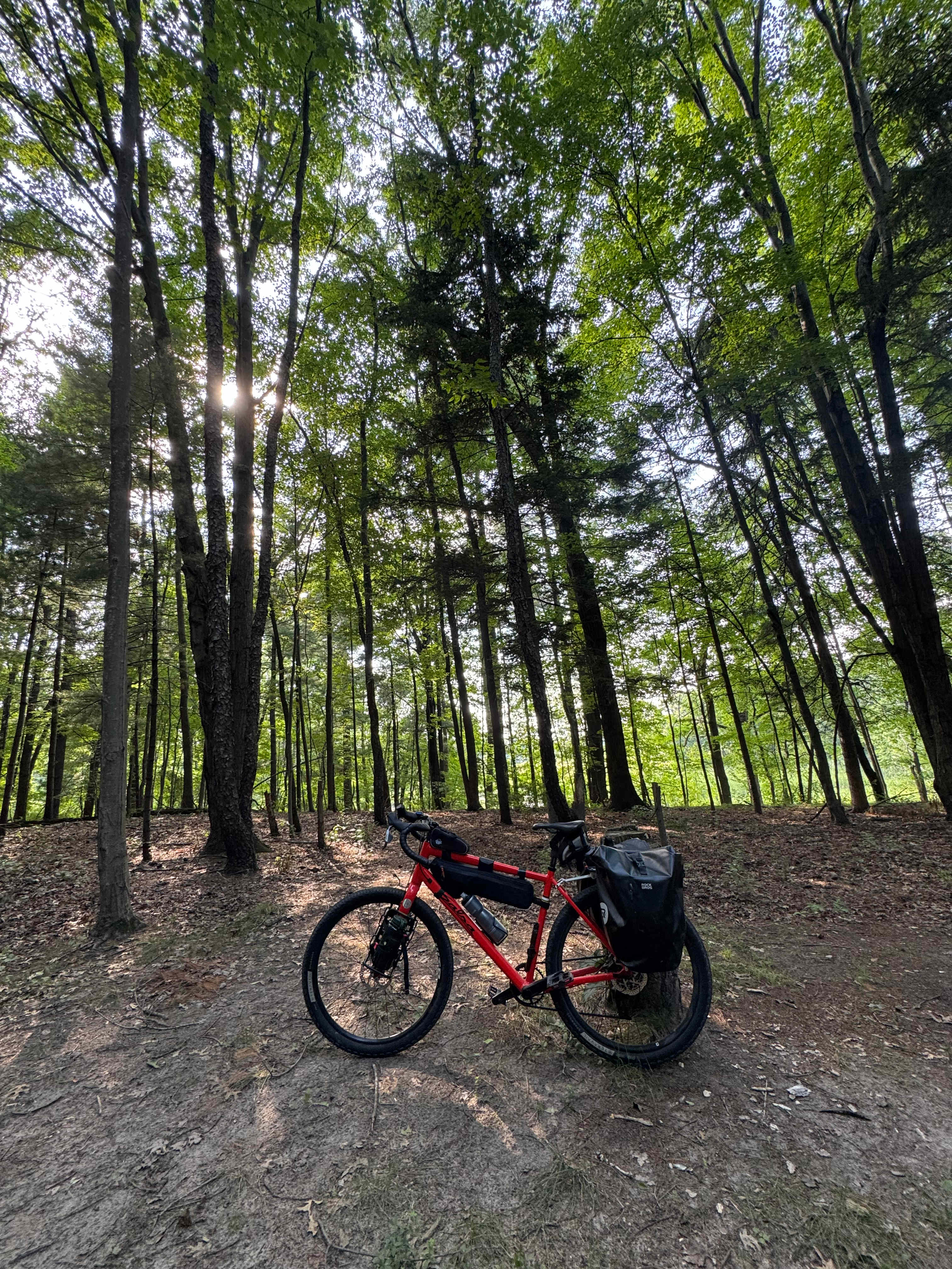 Mulligan's Valley in the Woods