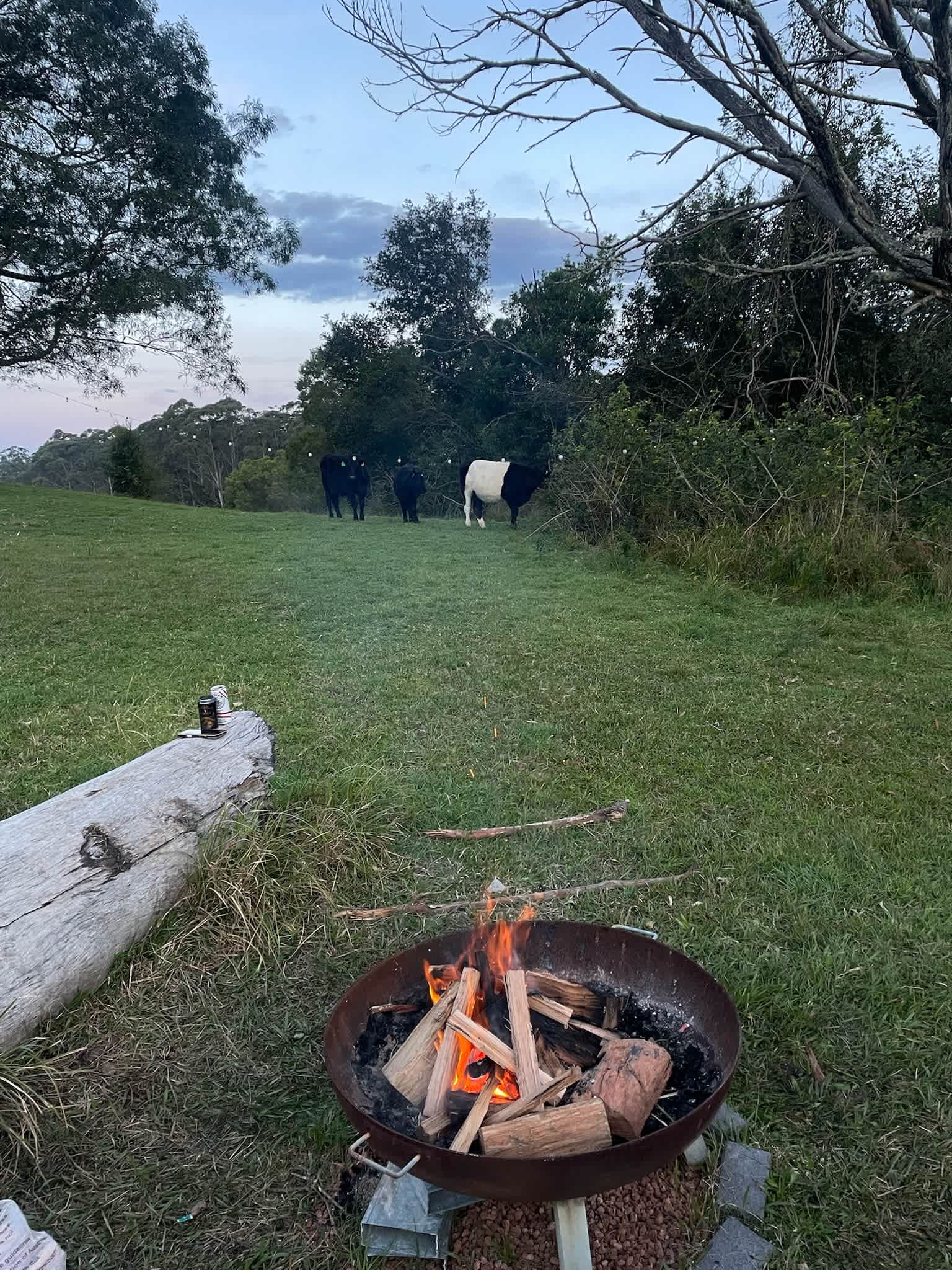 Young Macdonald’s Farm