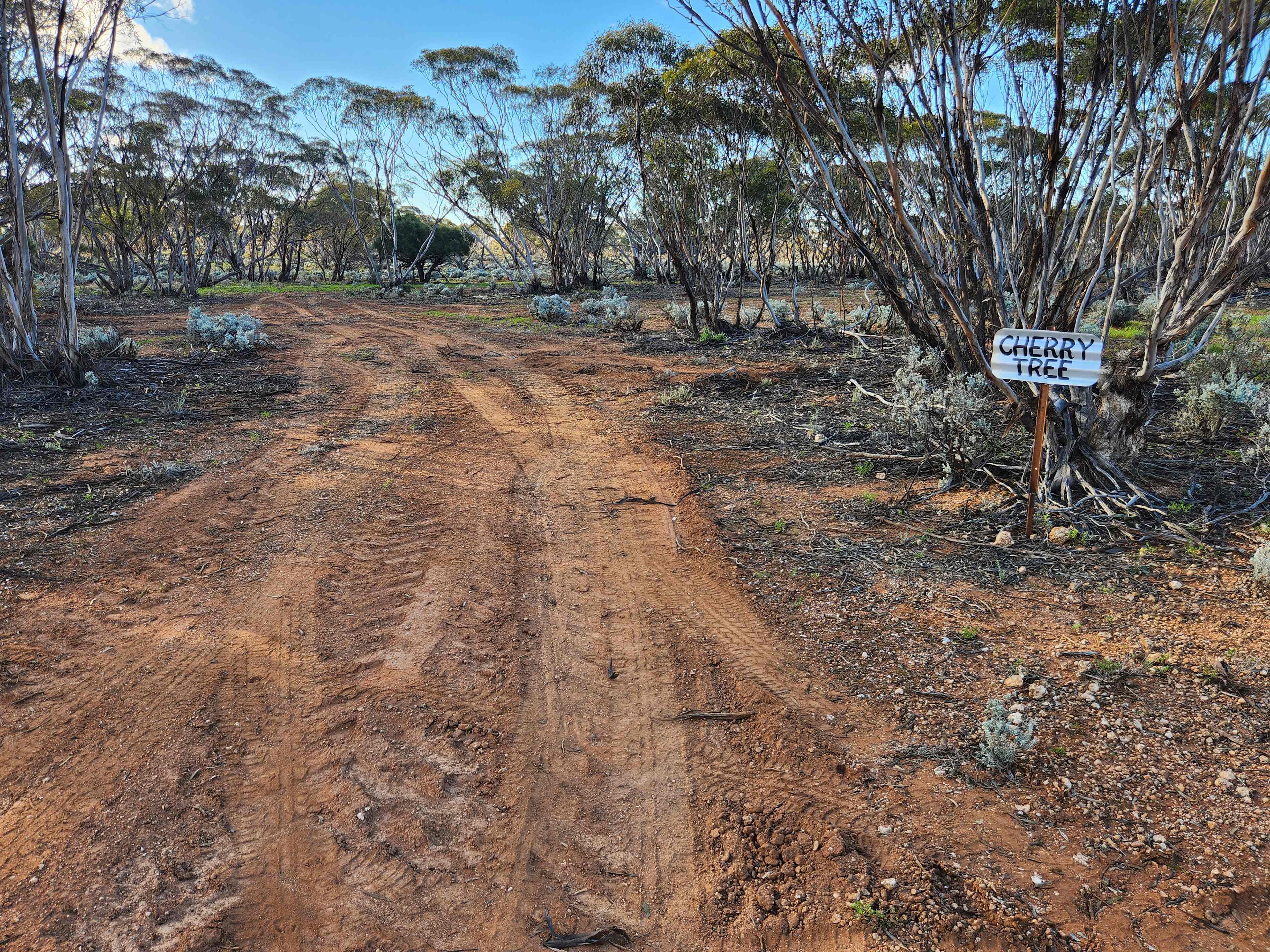 Picture of the site