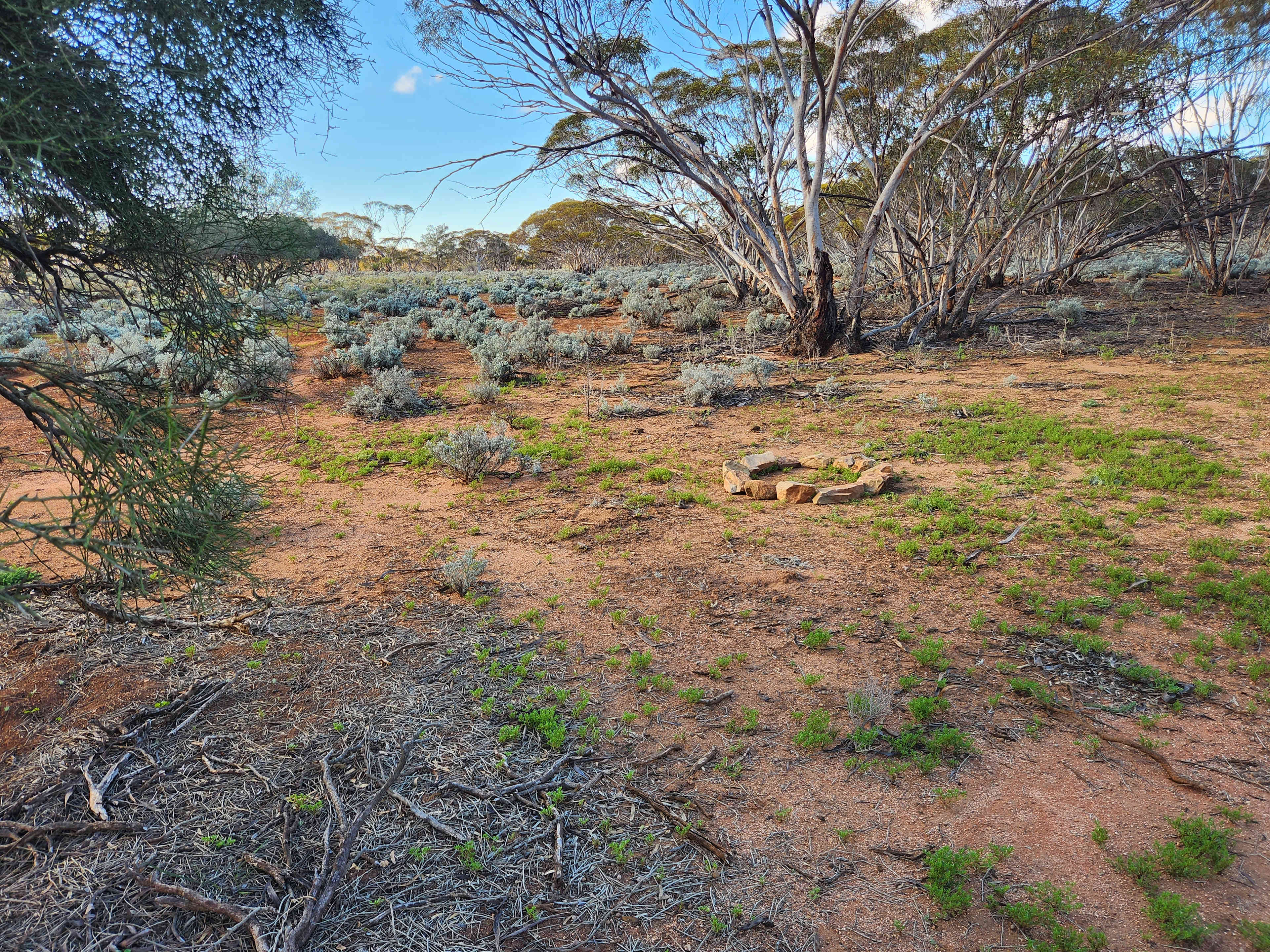 Picture of the site