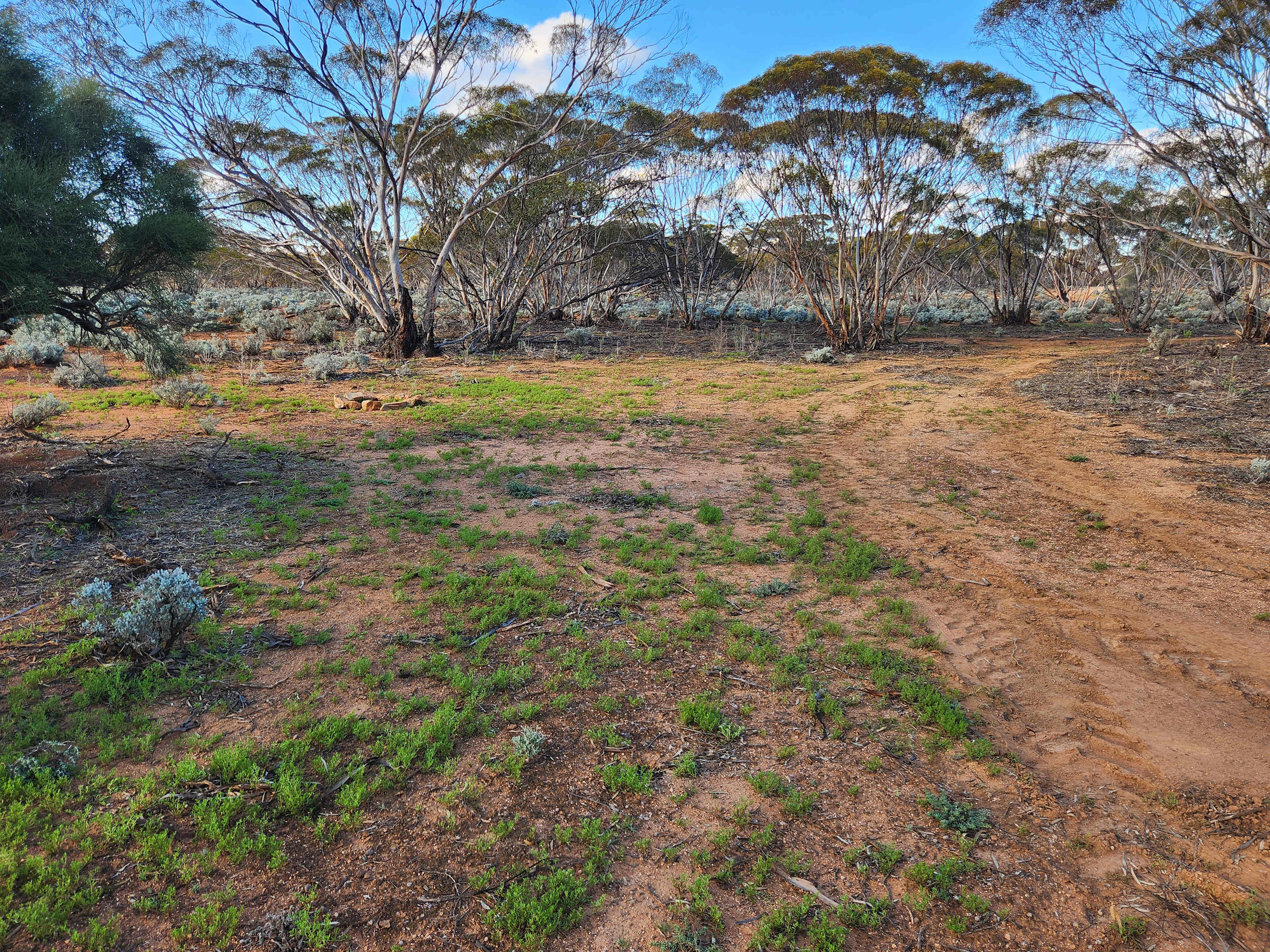 Picture of the site