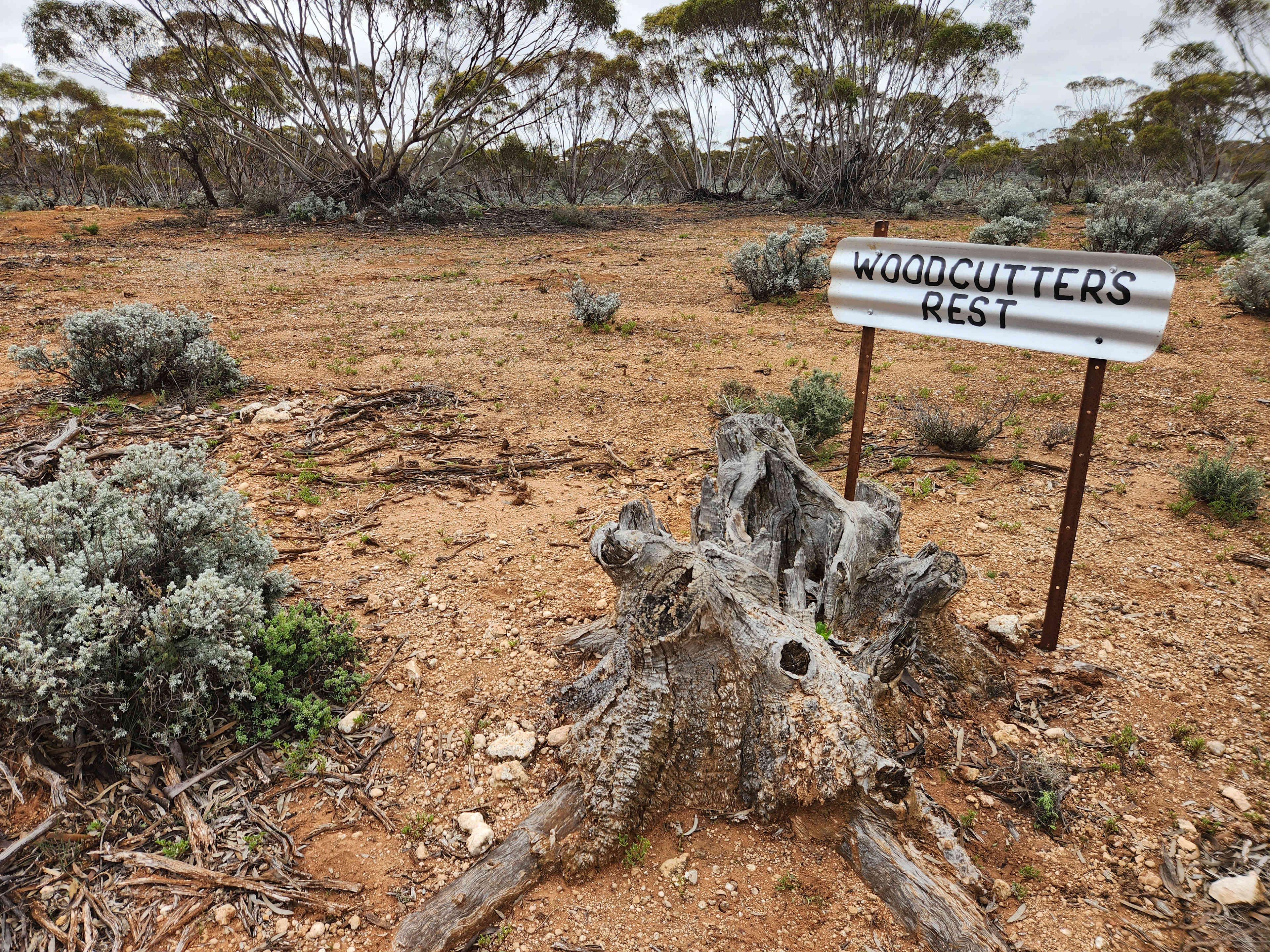 Picture of the site
